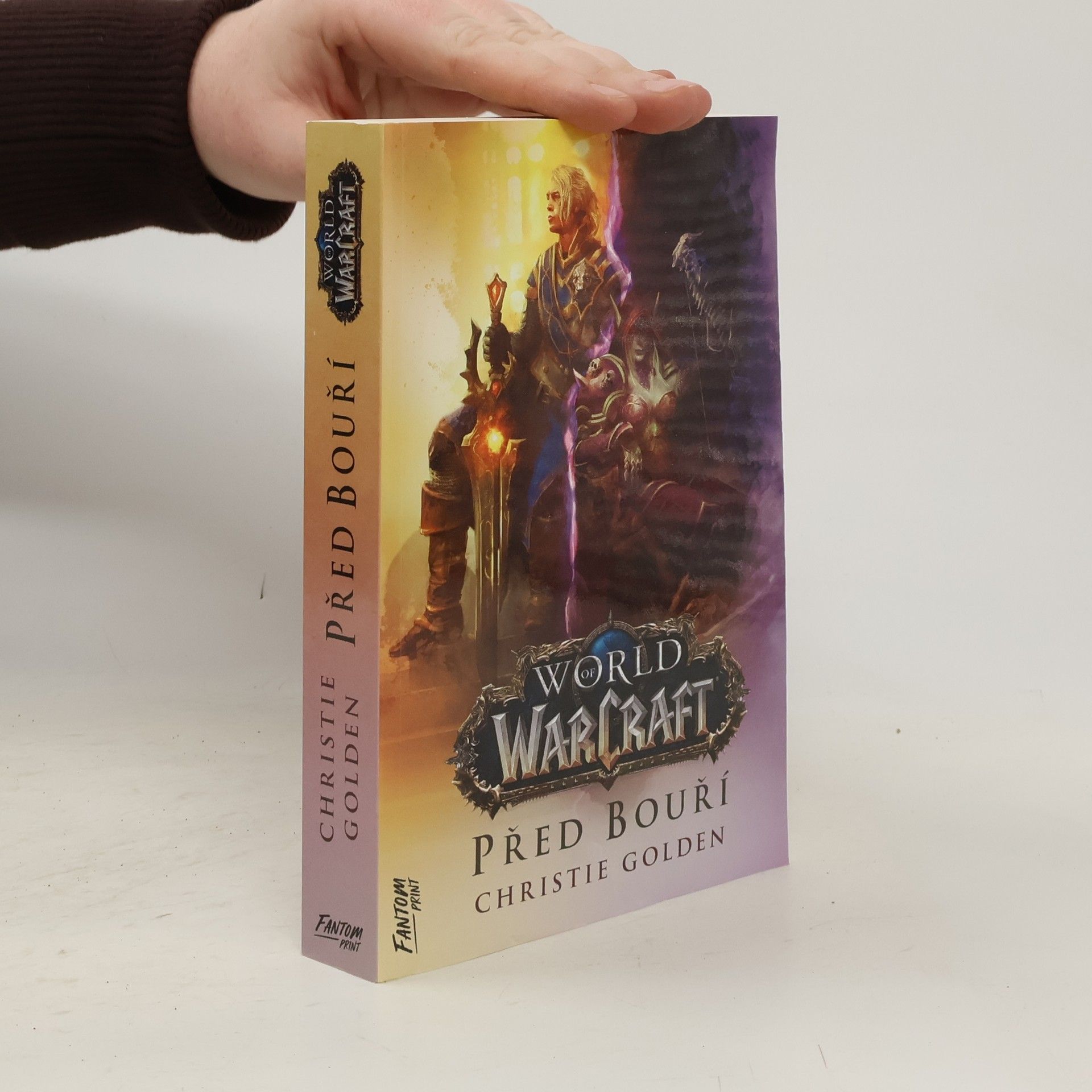 Christie Golden Před bouří