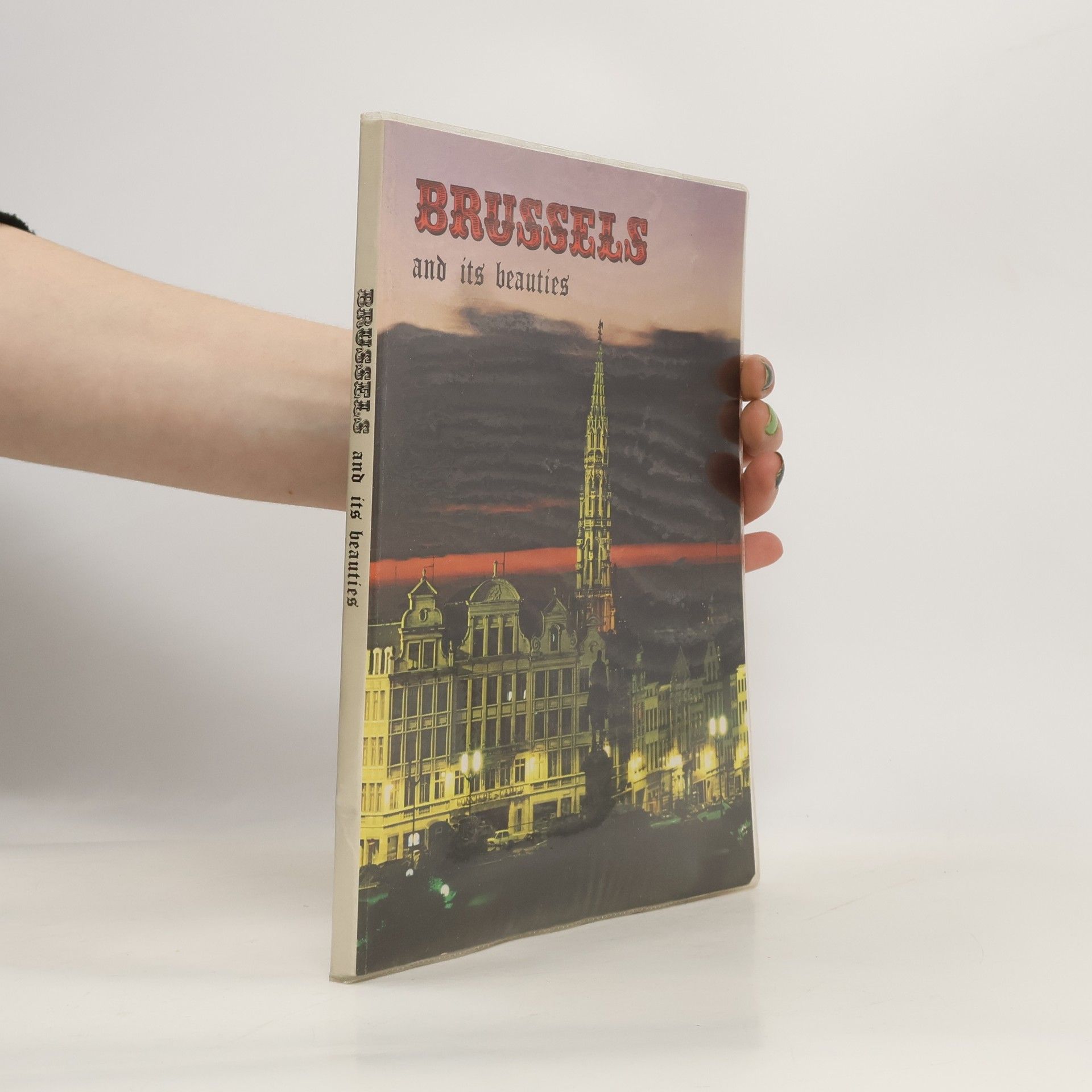 Kolektív autorov Bruges and its beauties