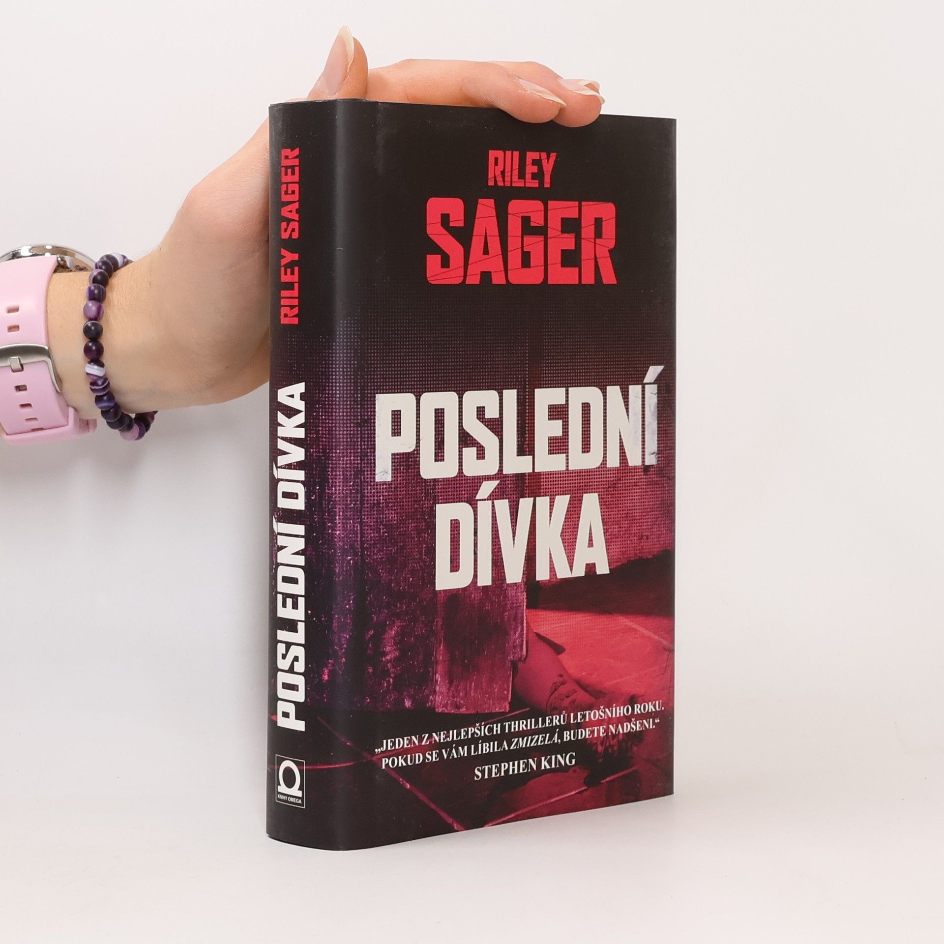 Todd Ritter Poslední dívka