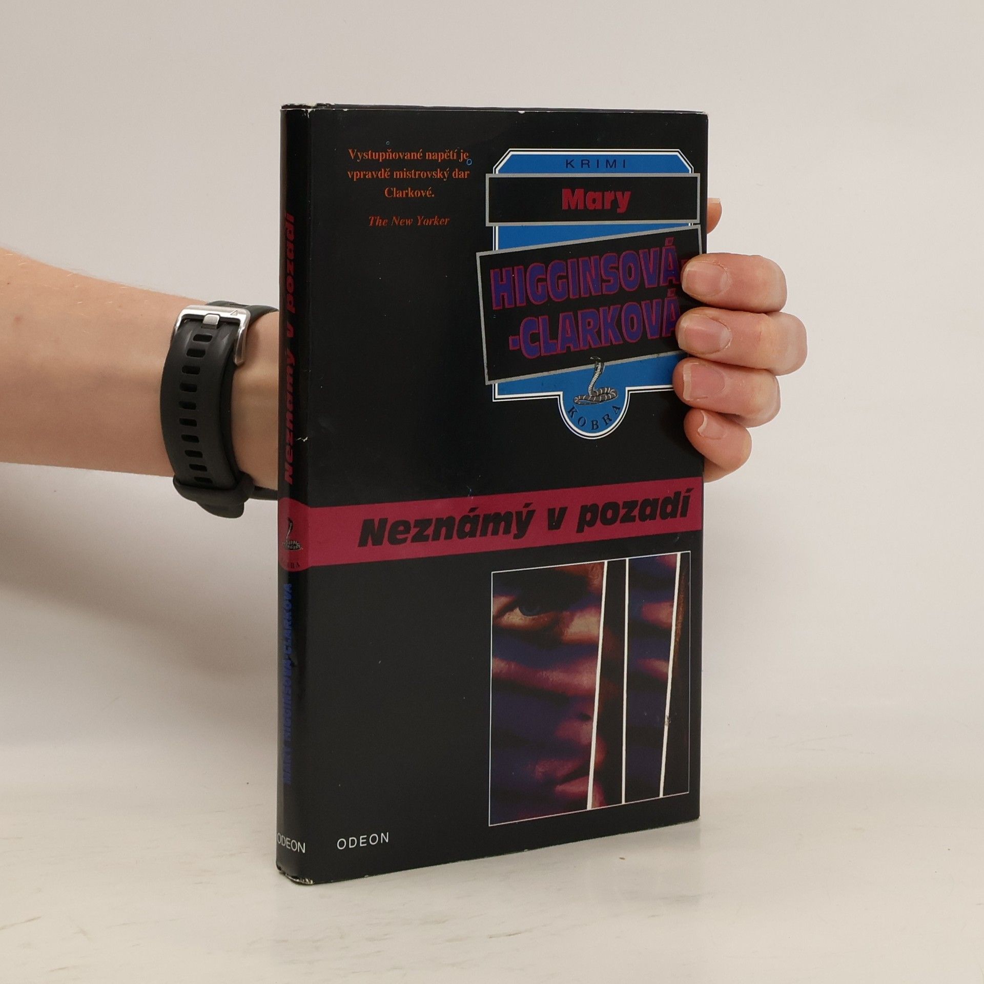 Mary Higginsová Clarková Neznámý v pozadí