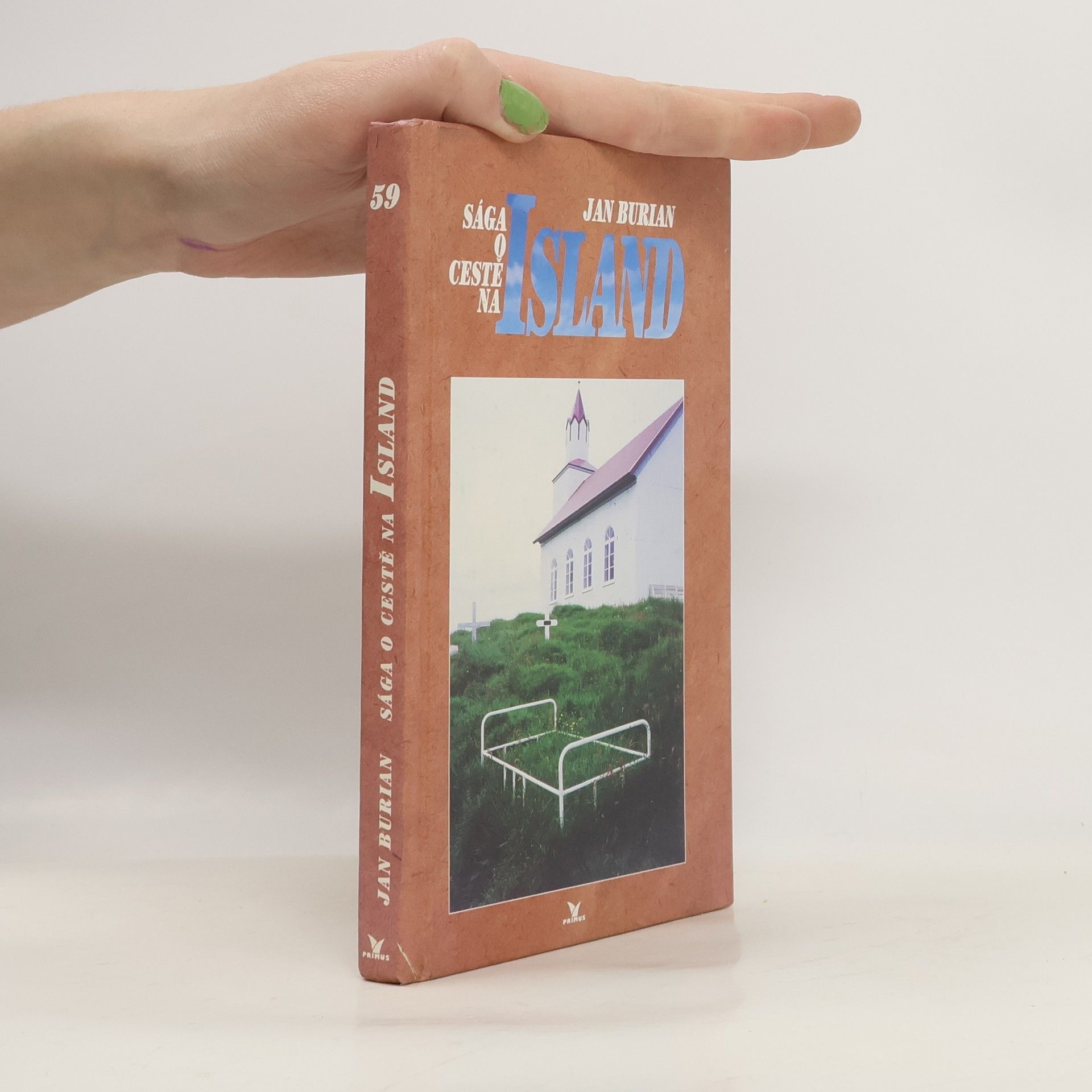 Sága o cestě na Island