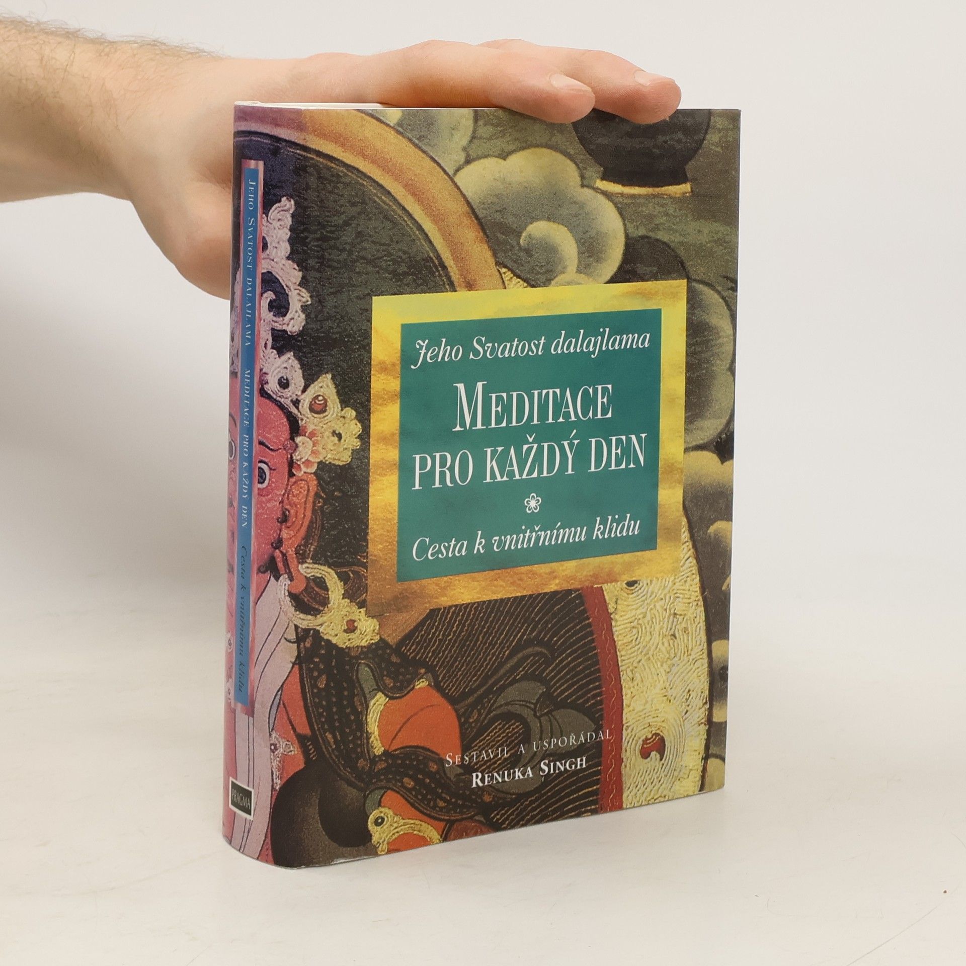 Renuka Singh Meditace pro každý den. cesta k vnitřnímu klidu