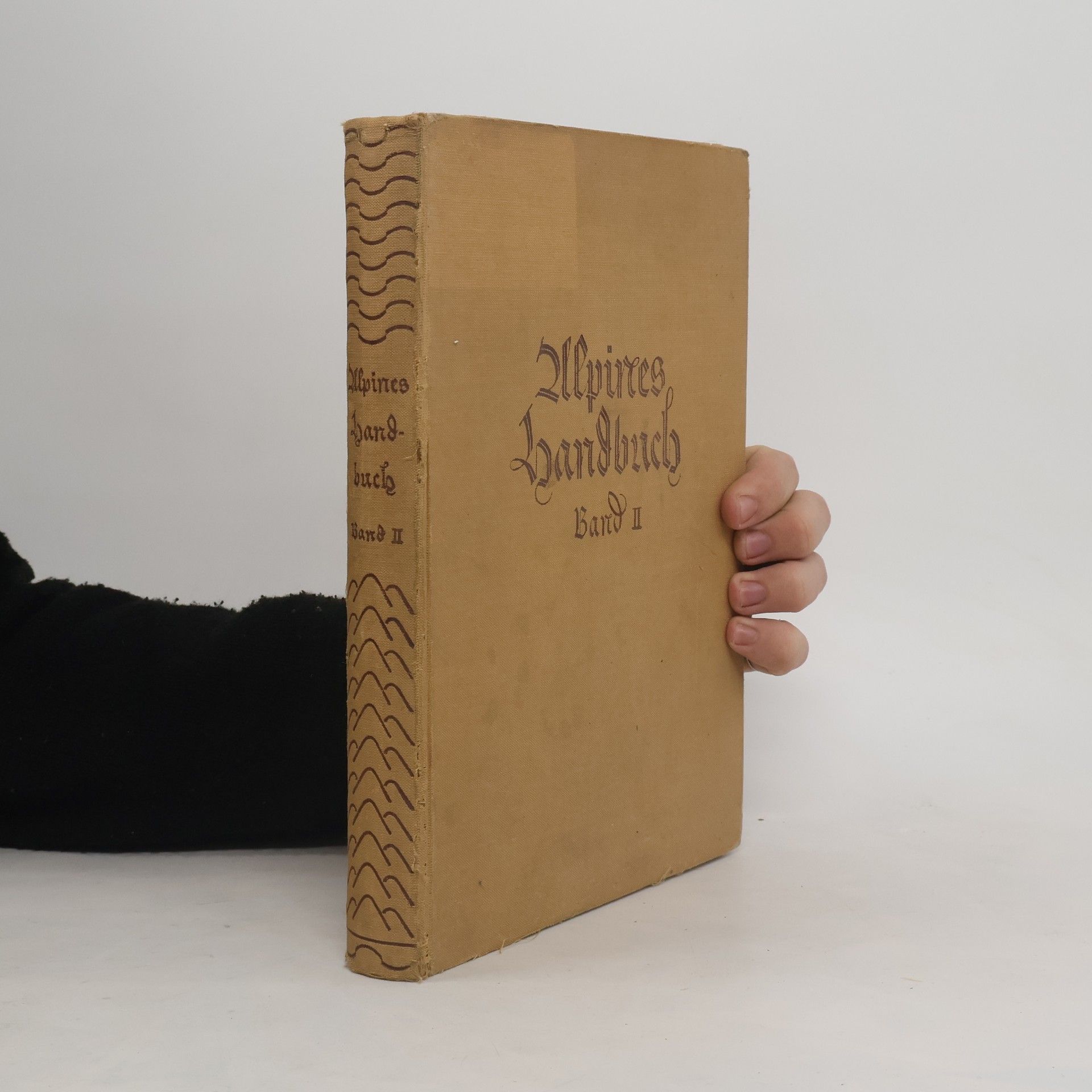 Autorenkollektiv Alpines Handbuch II