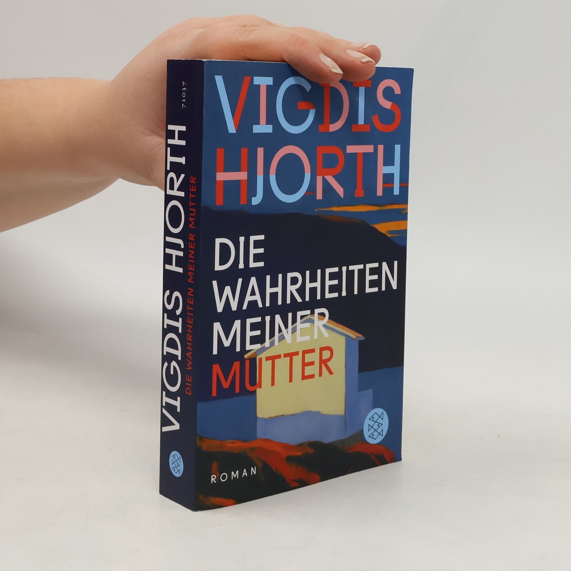 Vigdis Hjorth Die Wahrheiten meiner Mutter