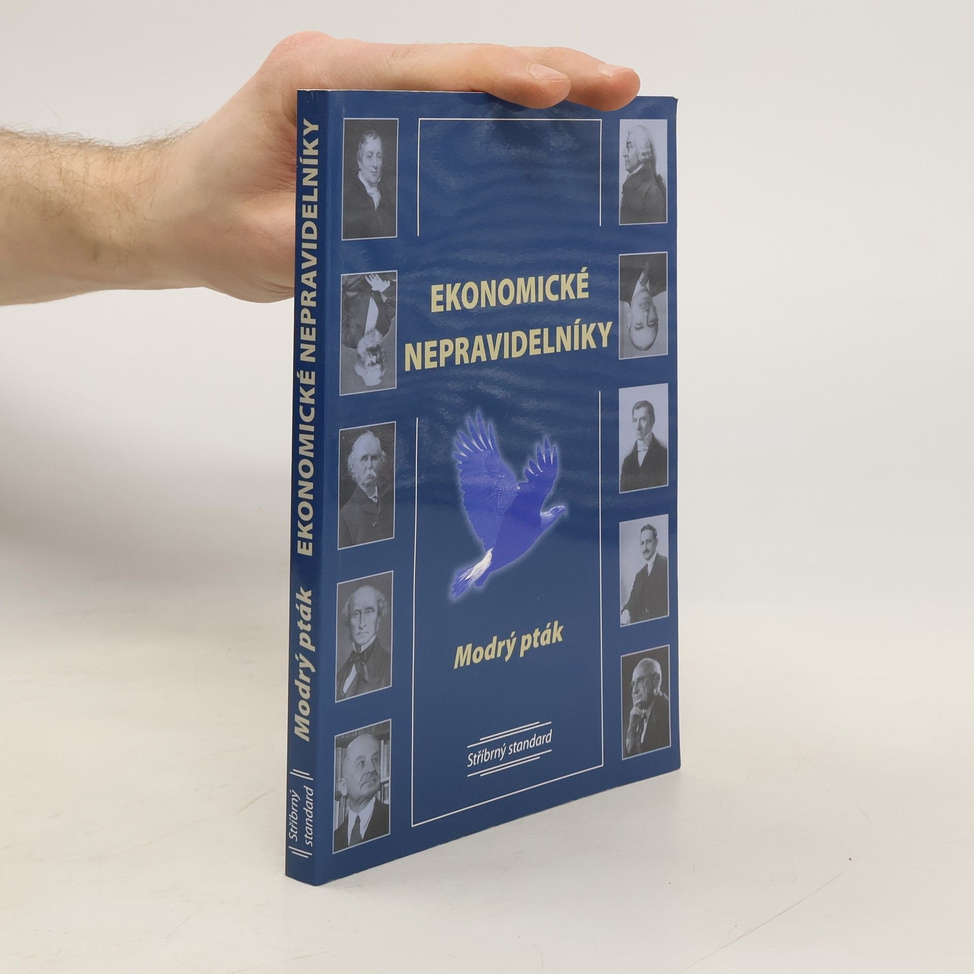 Anna Jurková Ekonomické nepravidelníky