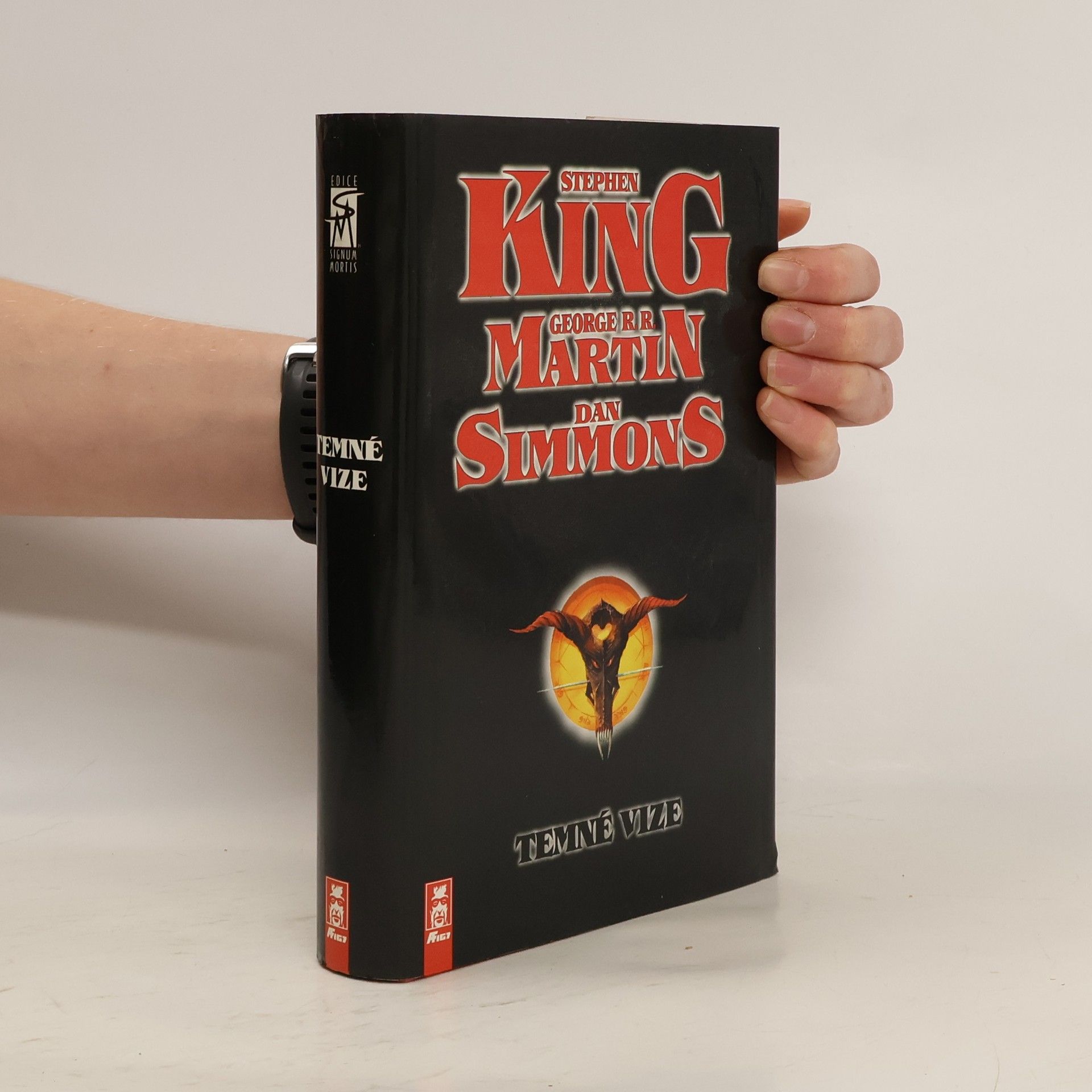 Stephen King Temné vize