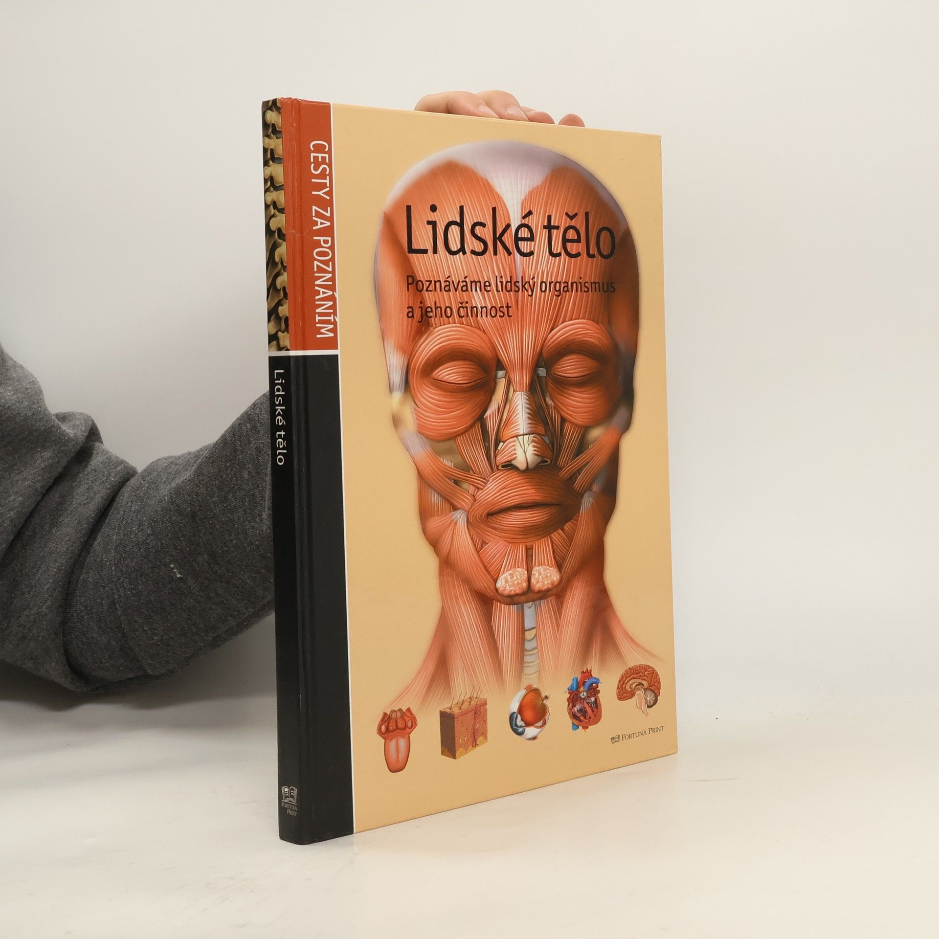 Autorenkollektiv Lidské tělo. Poznáváme lidský organismus a jeho činnost