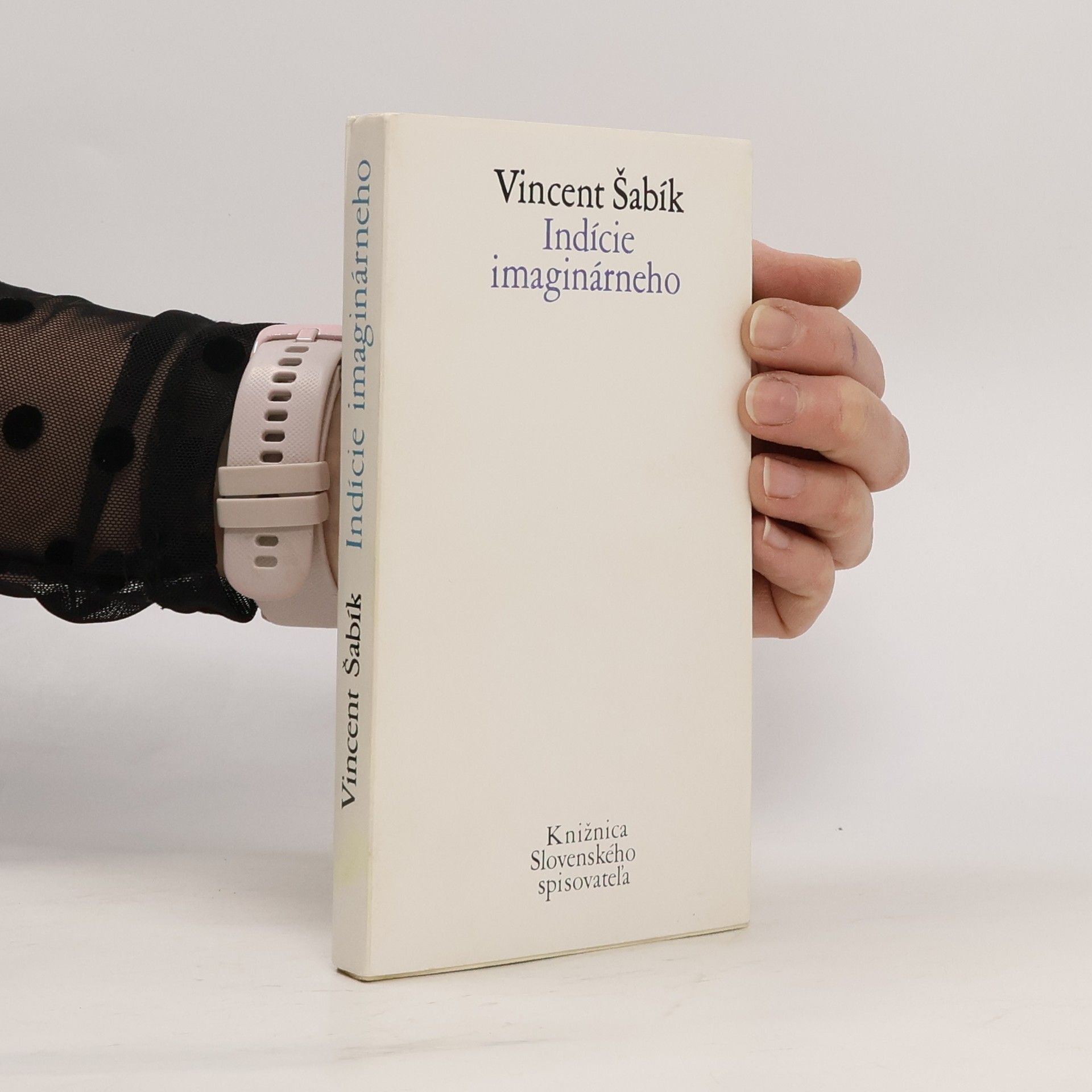 Vincent Šabík Indície imaginárneho