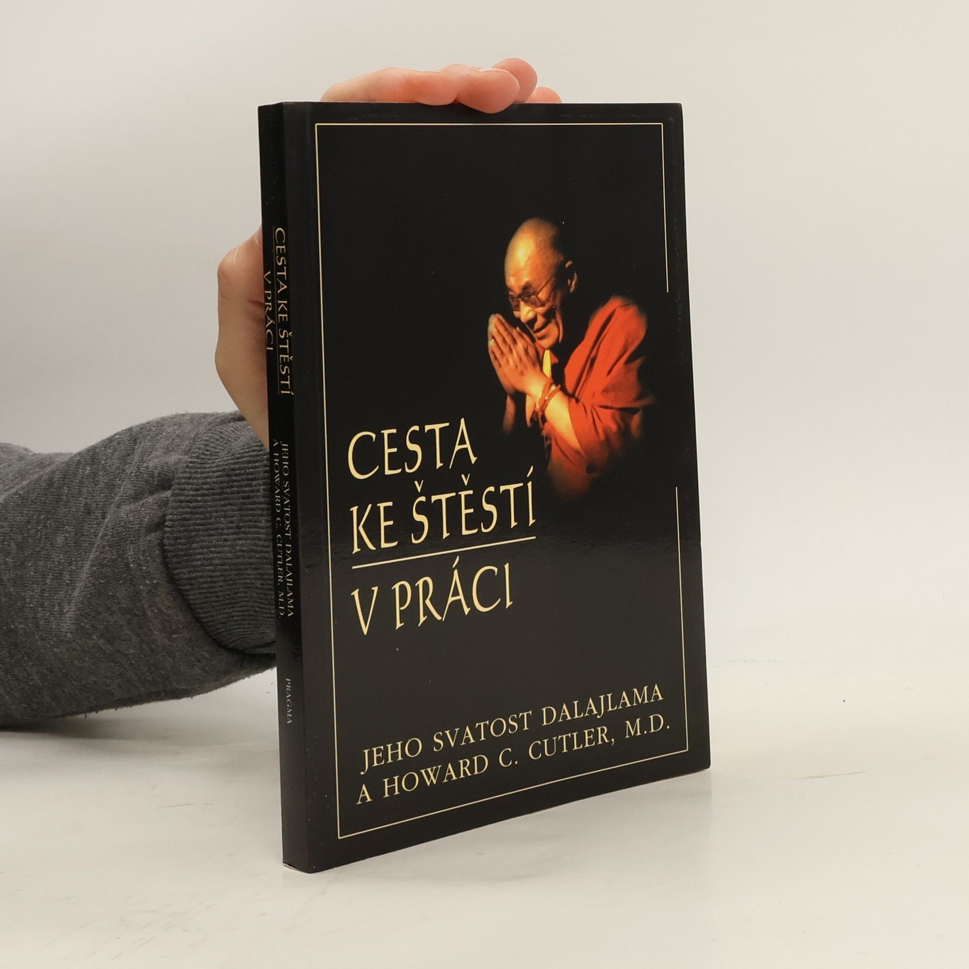 Bstan\'dzinrgyamtsho Cesta ke štěstí v práci