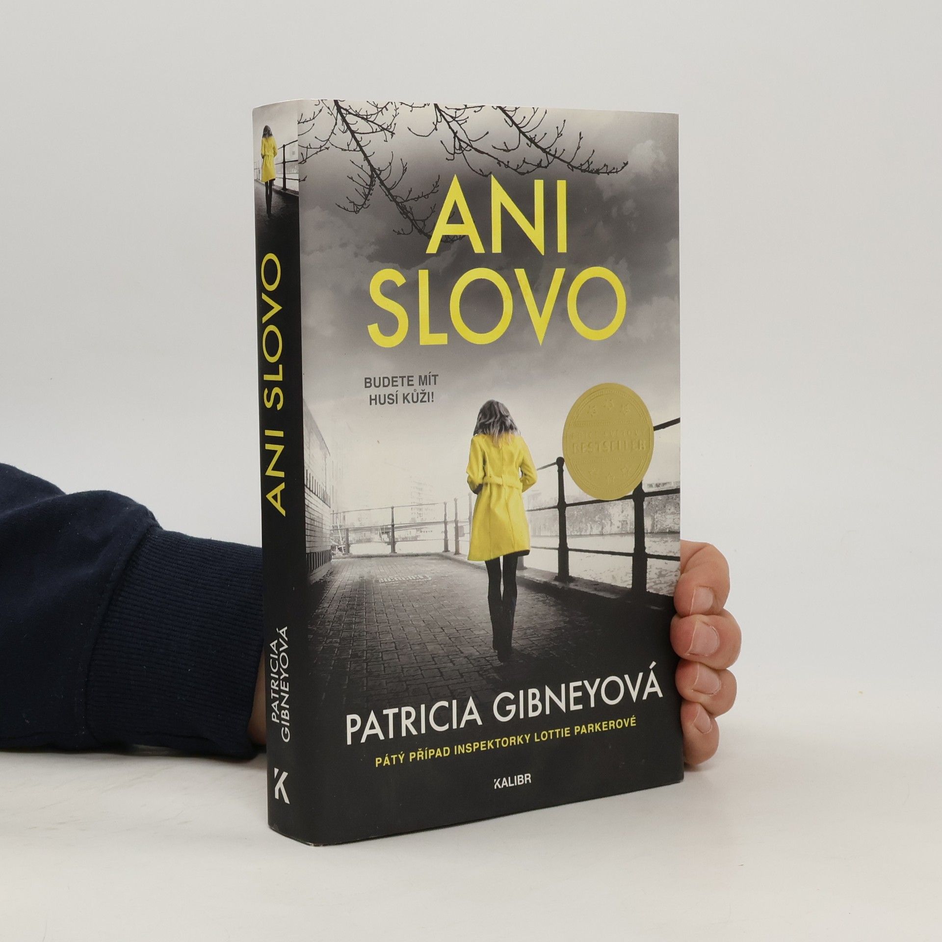 Patricia Gibney Ani slovo