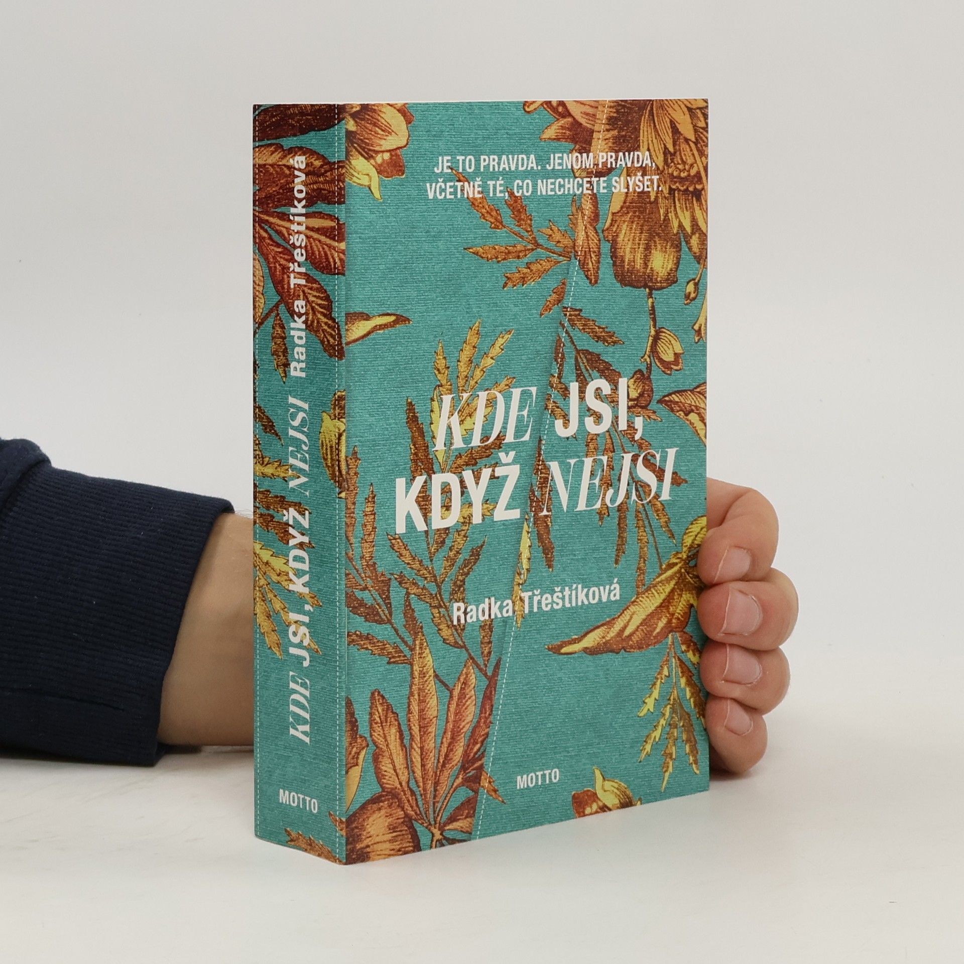 Radka Třeštíková Kde jsi, když nejsi