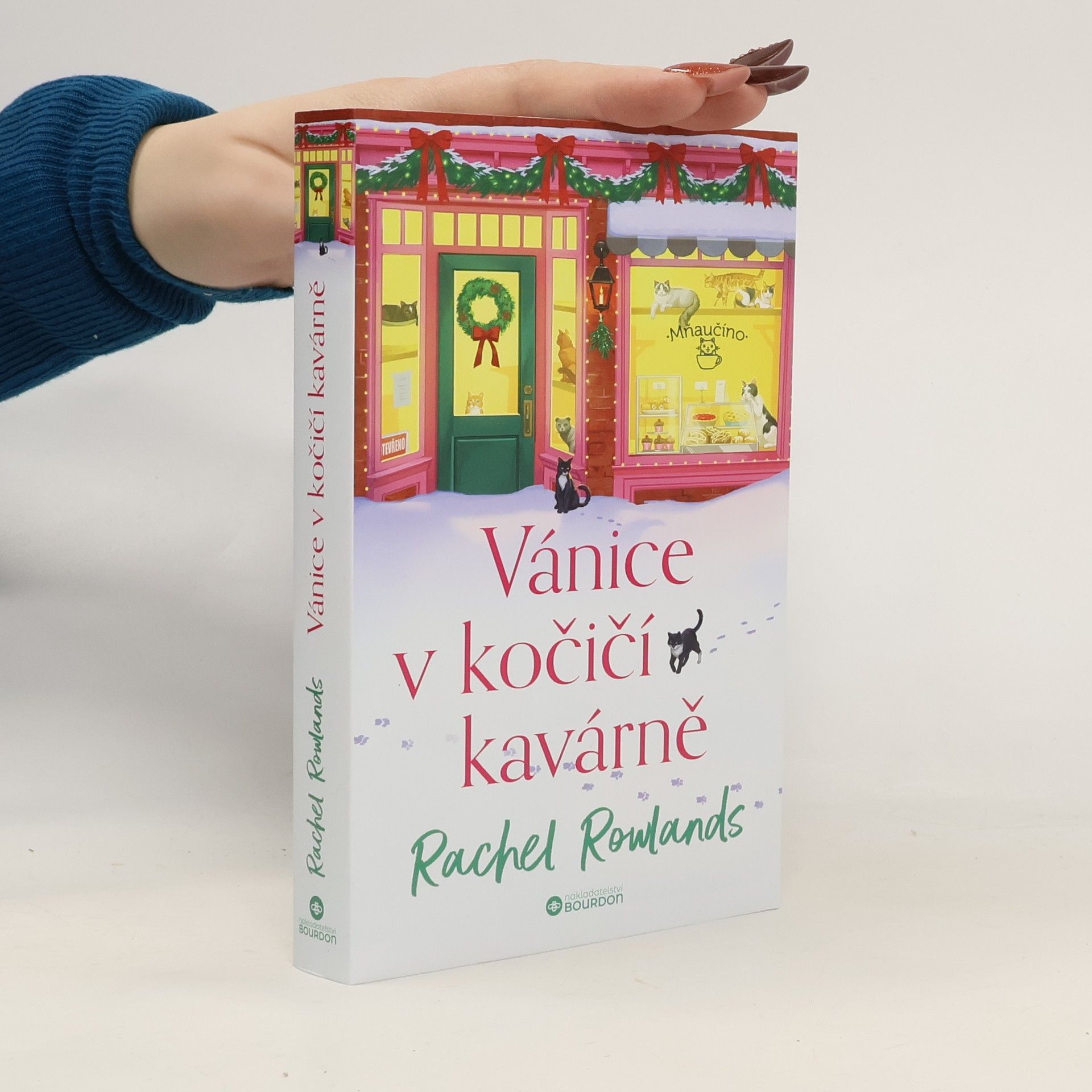 Rachel Rowlands Vánice v kočičí kavárně