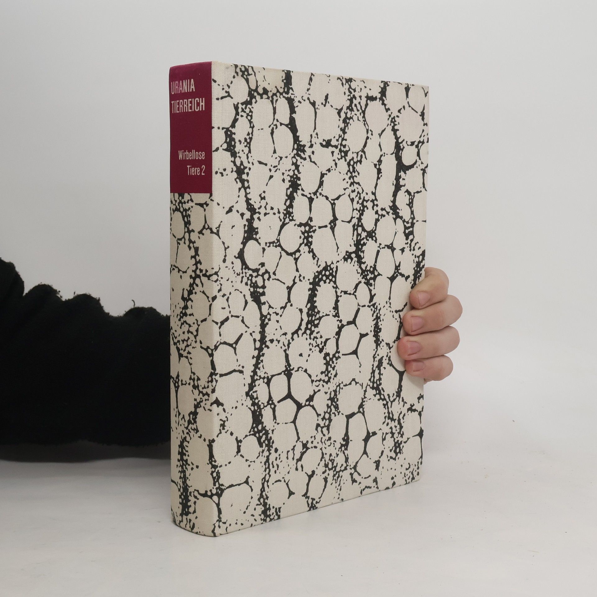 Autorenkollektiv Wirbellose Tiere 2