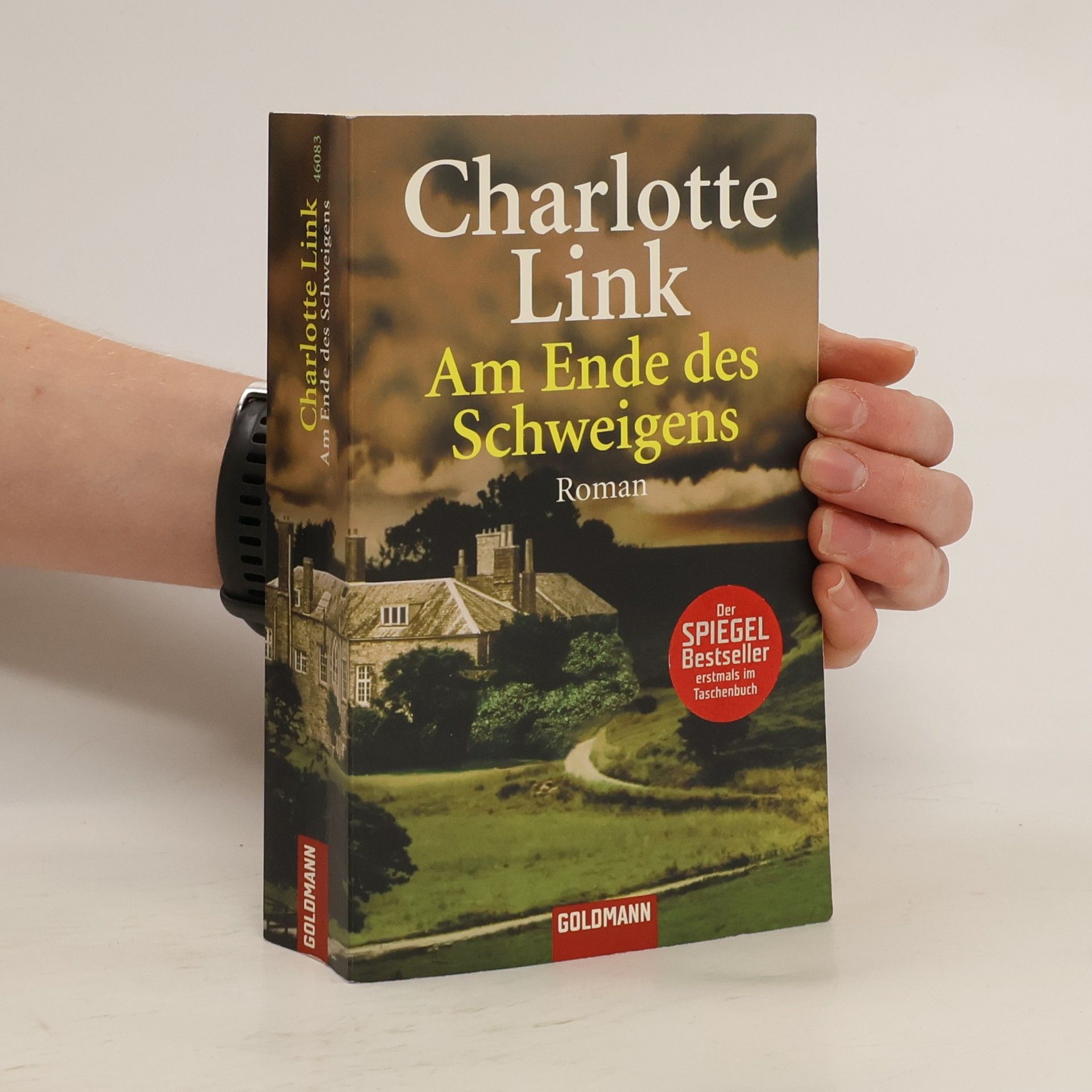 Charlotte Link Am Ende des Schweigens