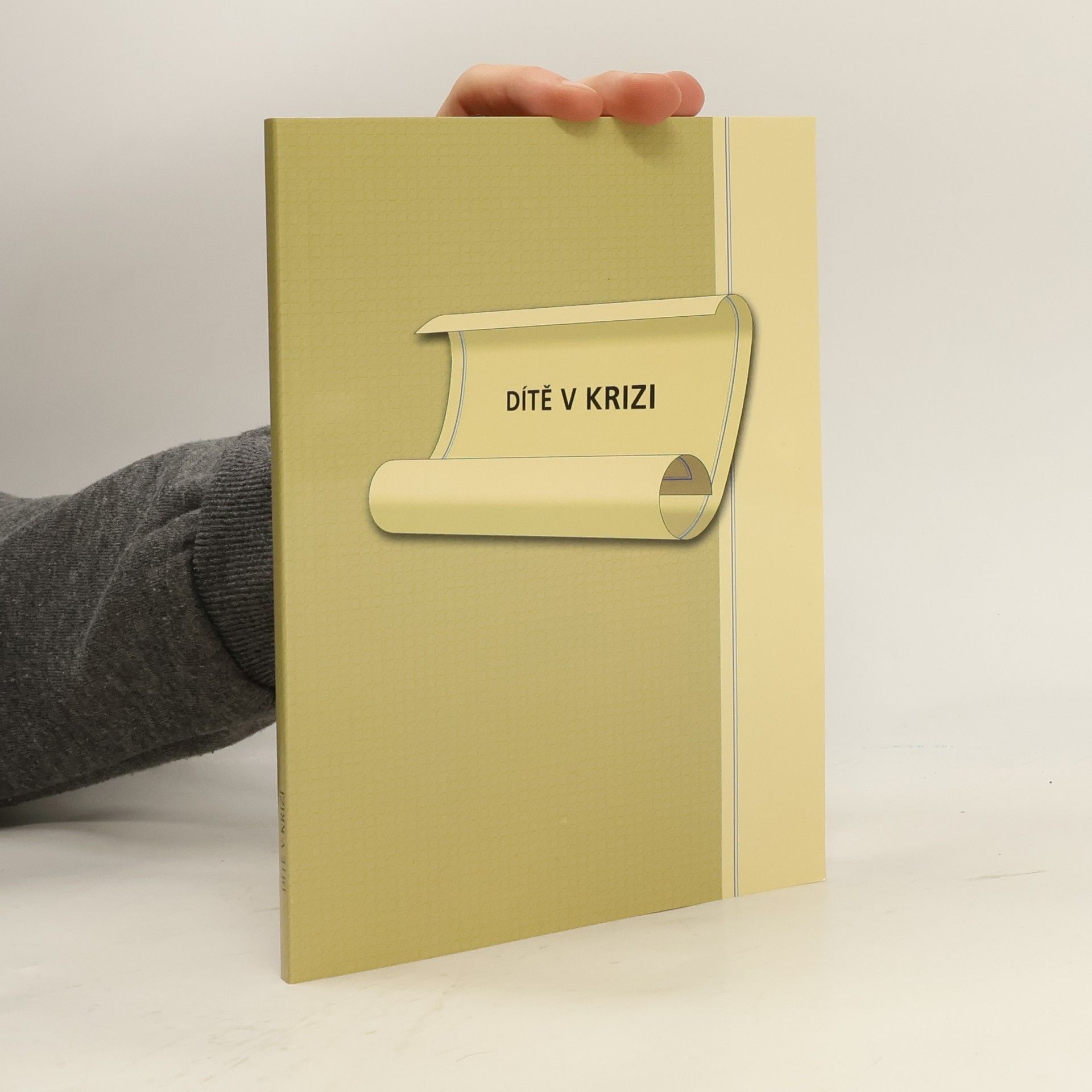 Kolektív autorov Dítě v krizi