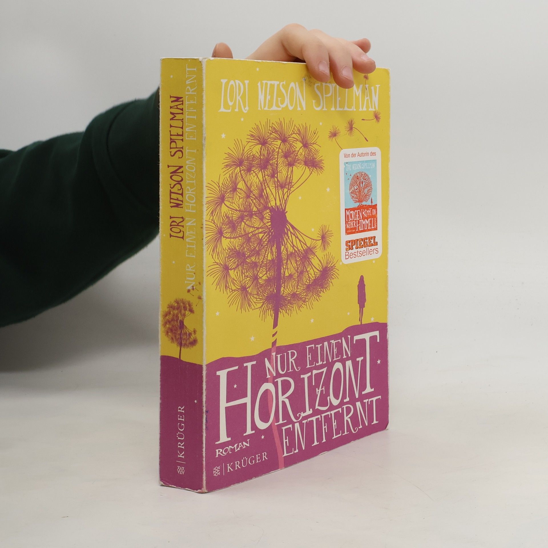 Lori Nelson Spielman Nur einen Horizont entfernt