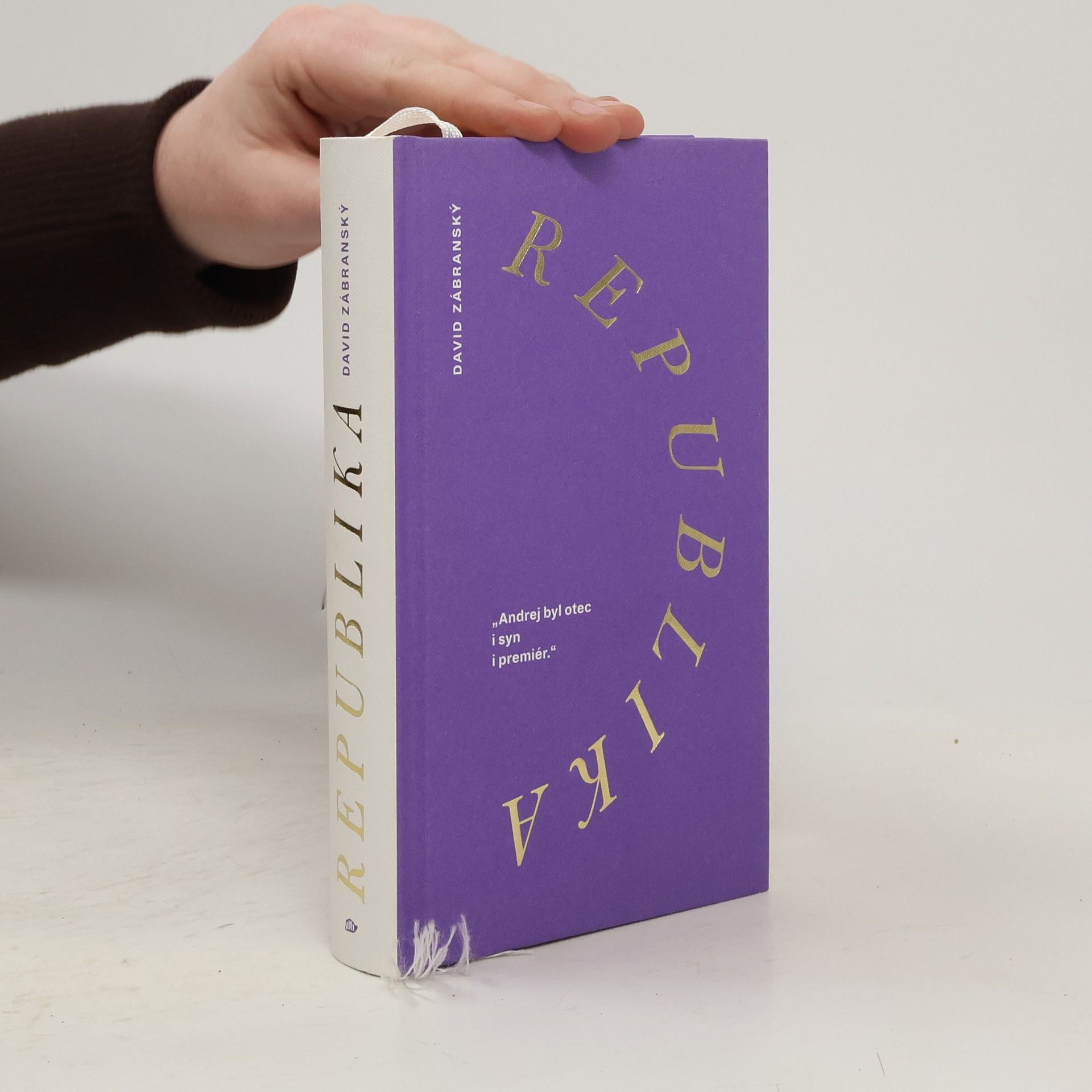 David Zábranský Republika