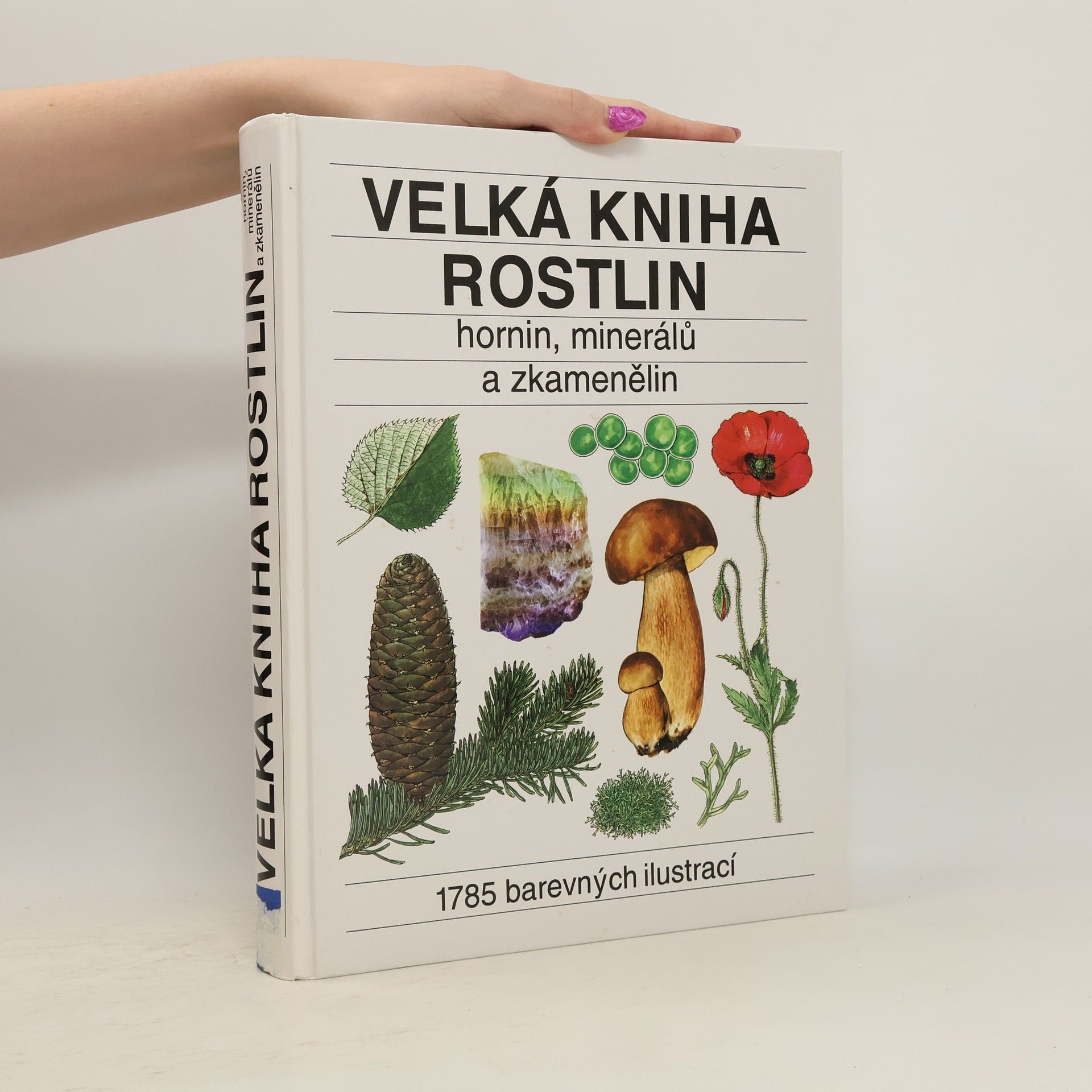 Jindřich Krejča Velká kniha rostlin, hornin, minerálů a zkamenělin