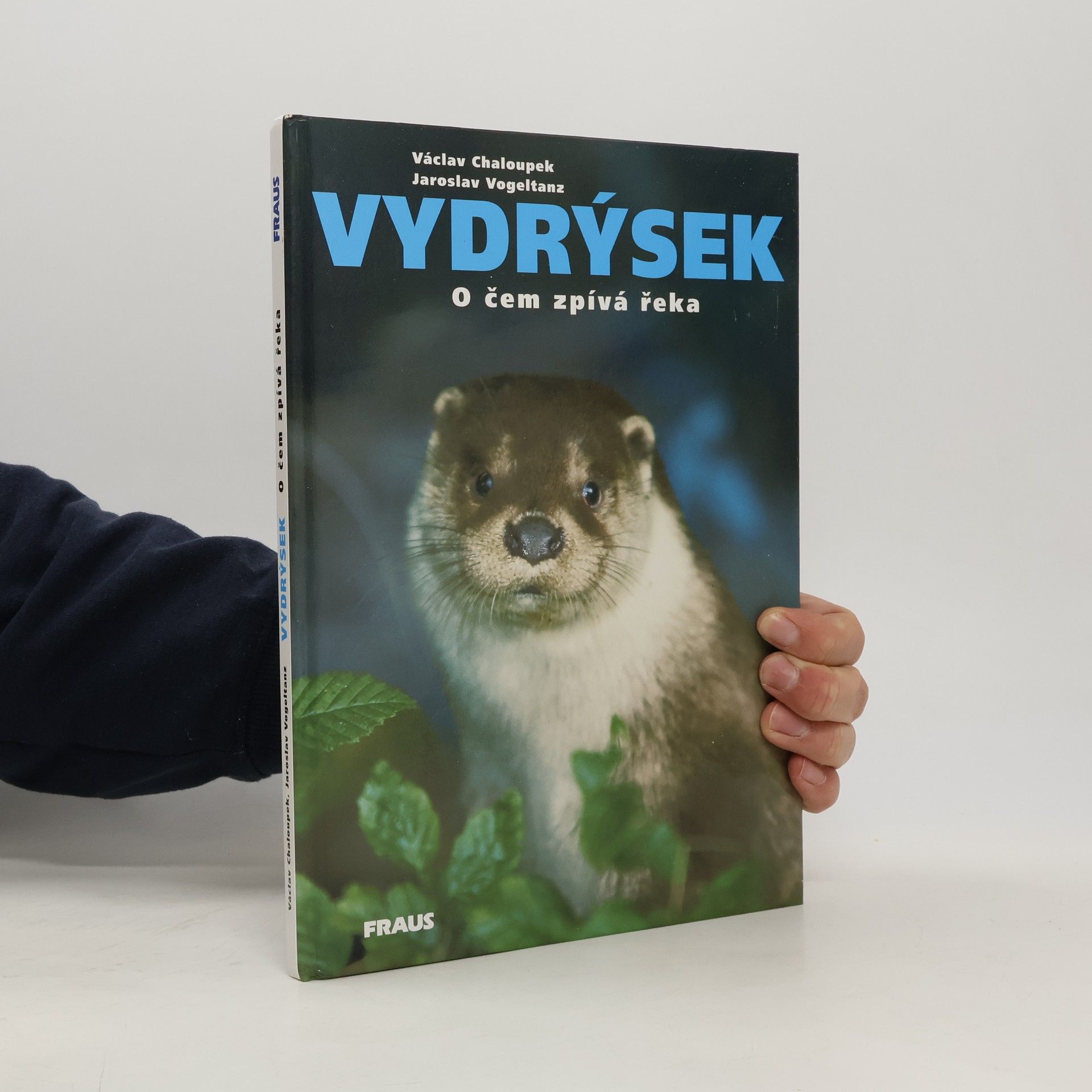 Vydrýsek. O čem zpívá řeka