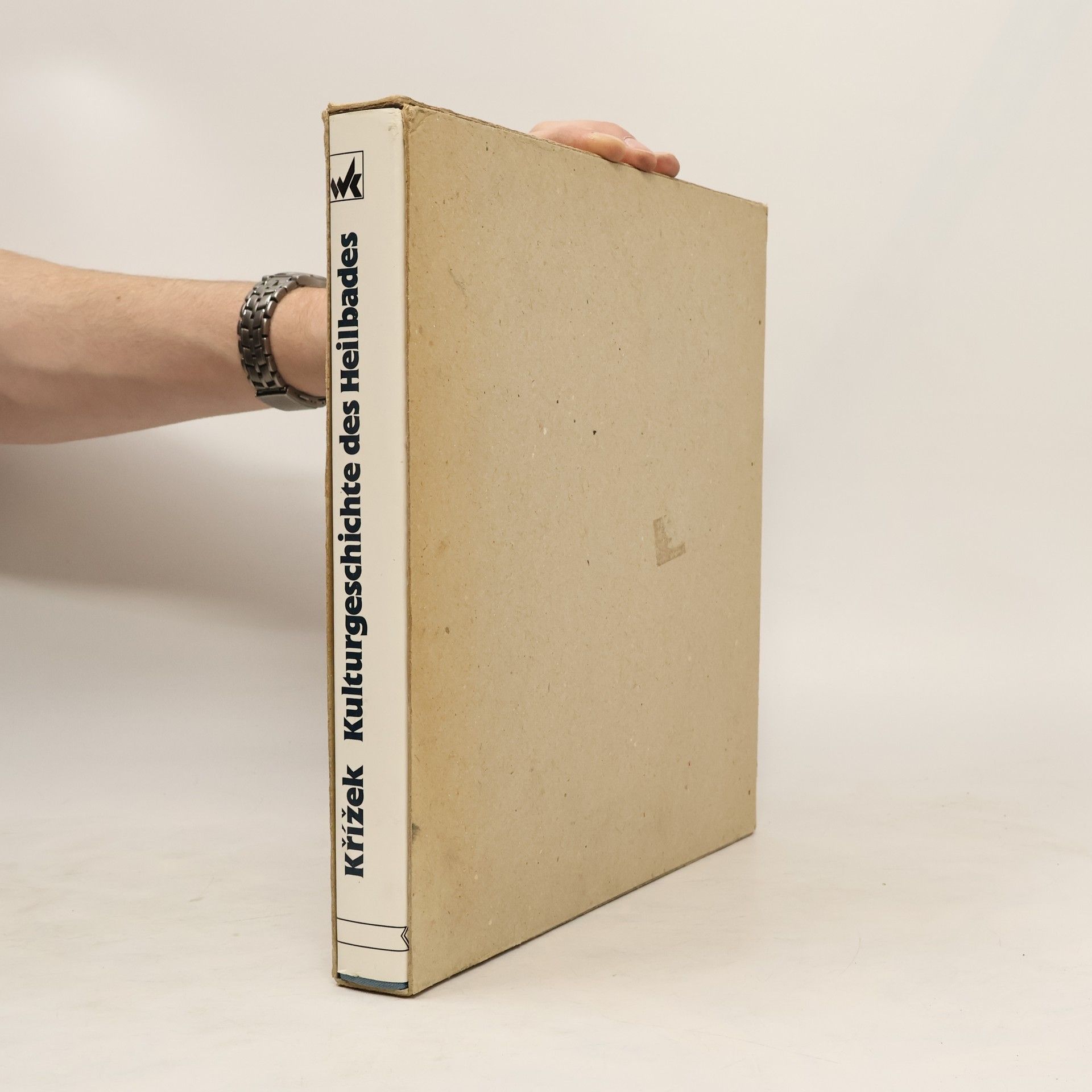 Kulturgeschichte des Heilbades