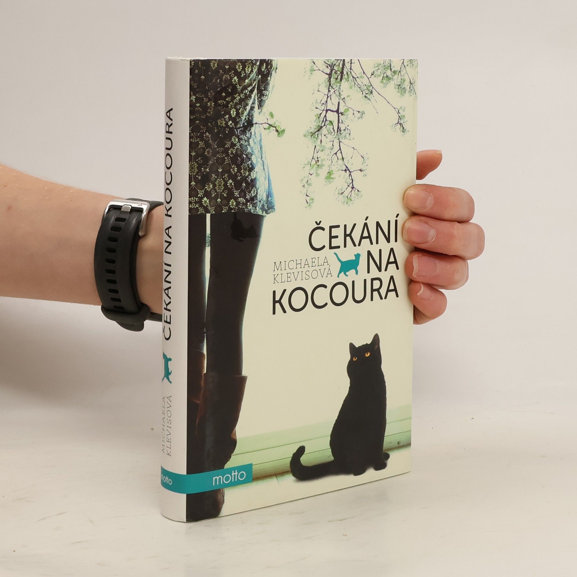 Čekání na kocoura : příběhy o kočkách a jejich lidech