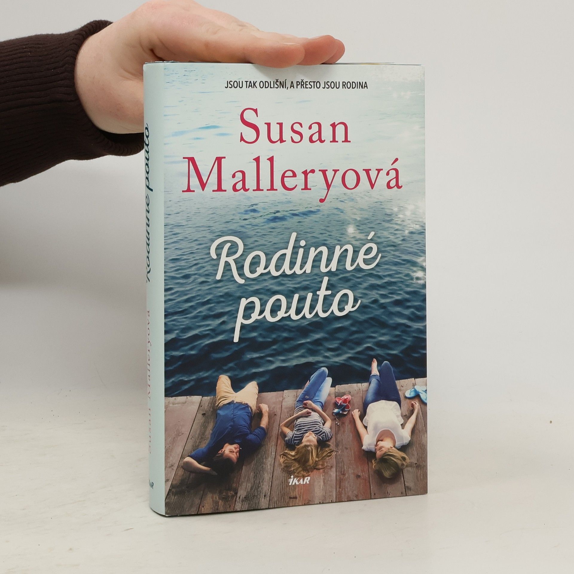 Susan Mallery Rodinné pouto