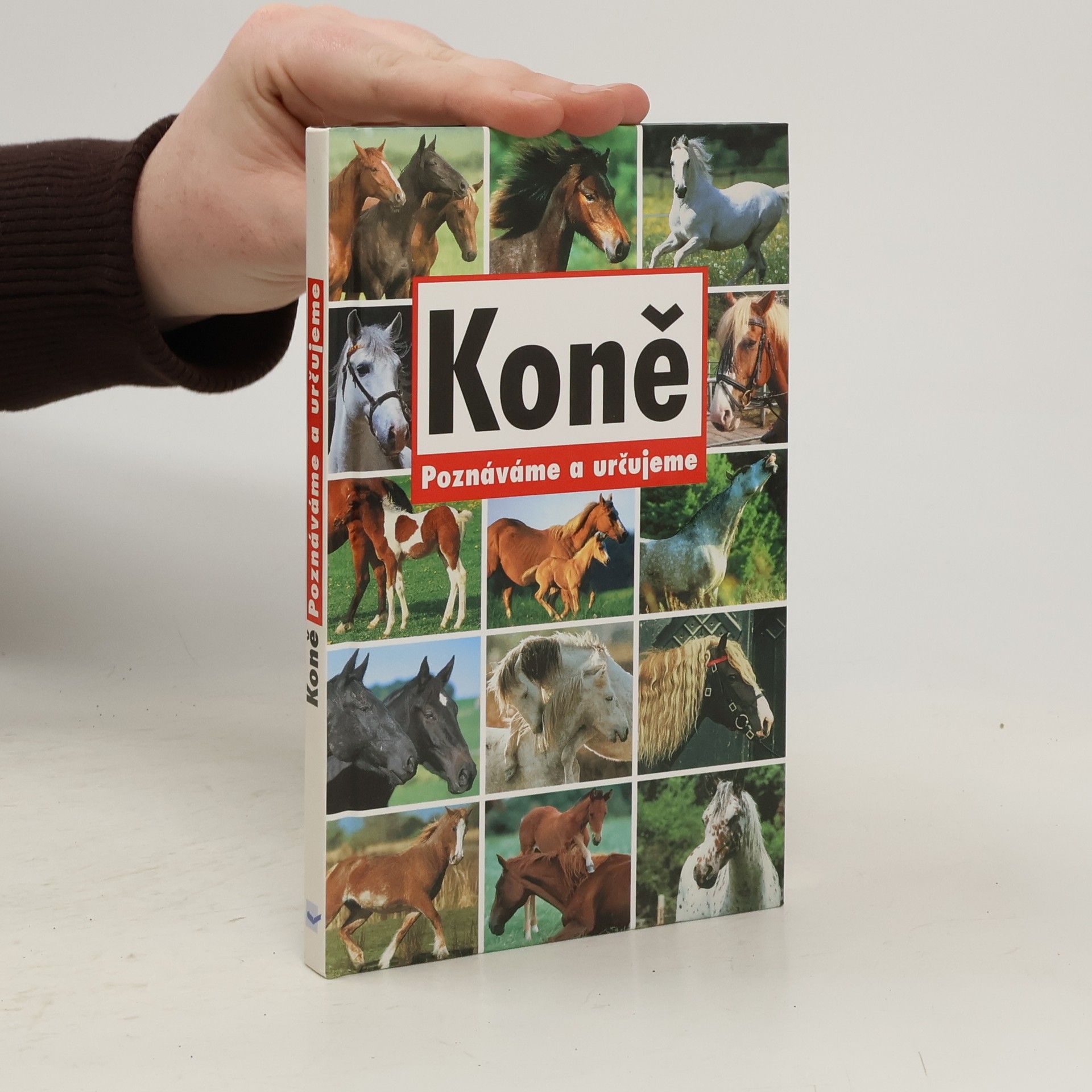 Auteurscollectief Koně - Poznáváme a určujeme