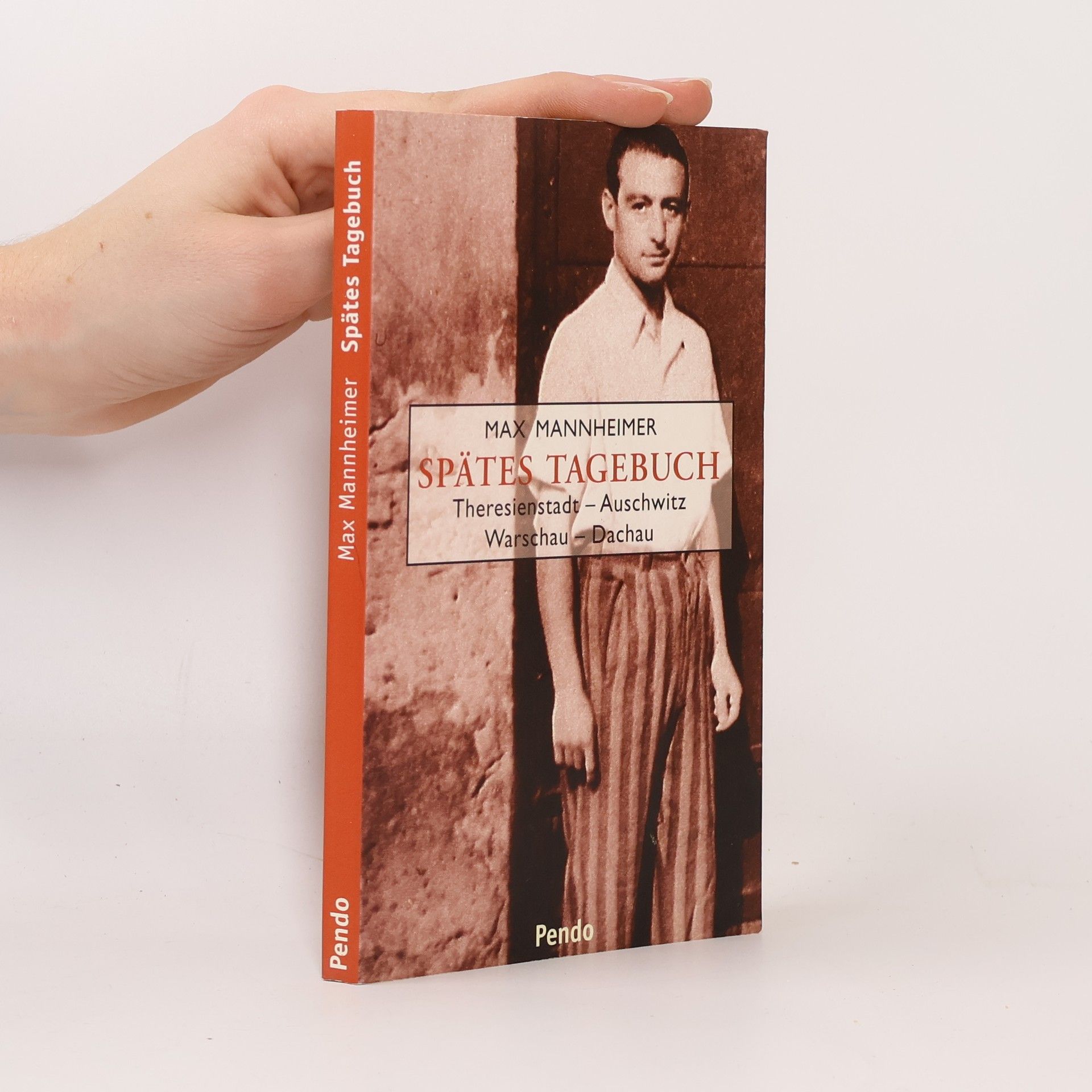 Max Mannheimer Spätes Tagebuch