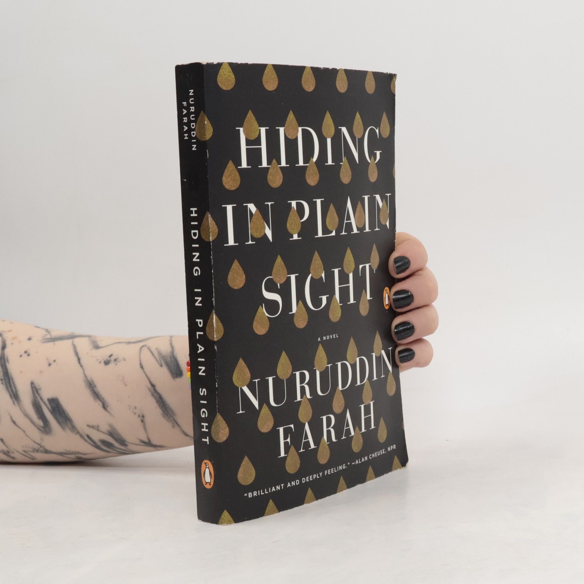 Nuruddin Farah Hiding in Plain Sight