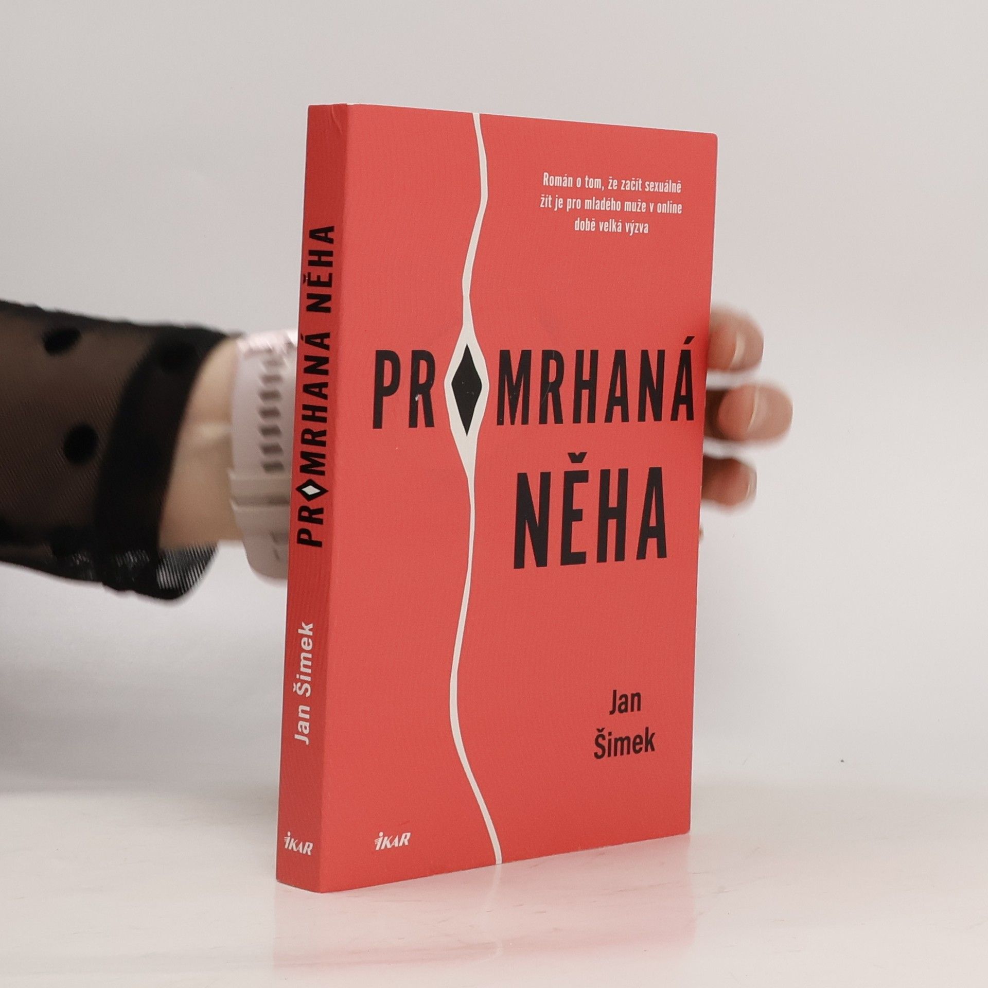 Jan Šimek Promrhaná něha