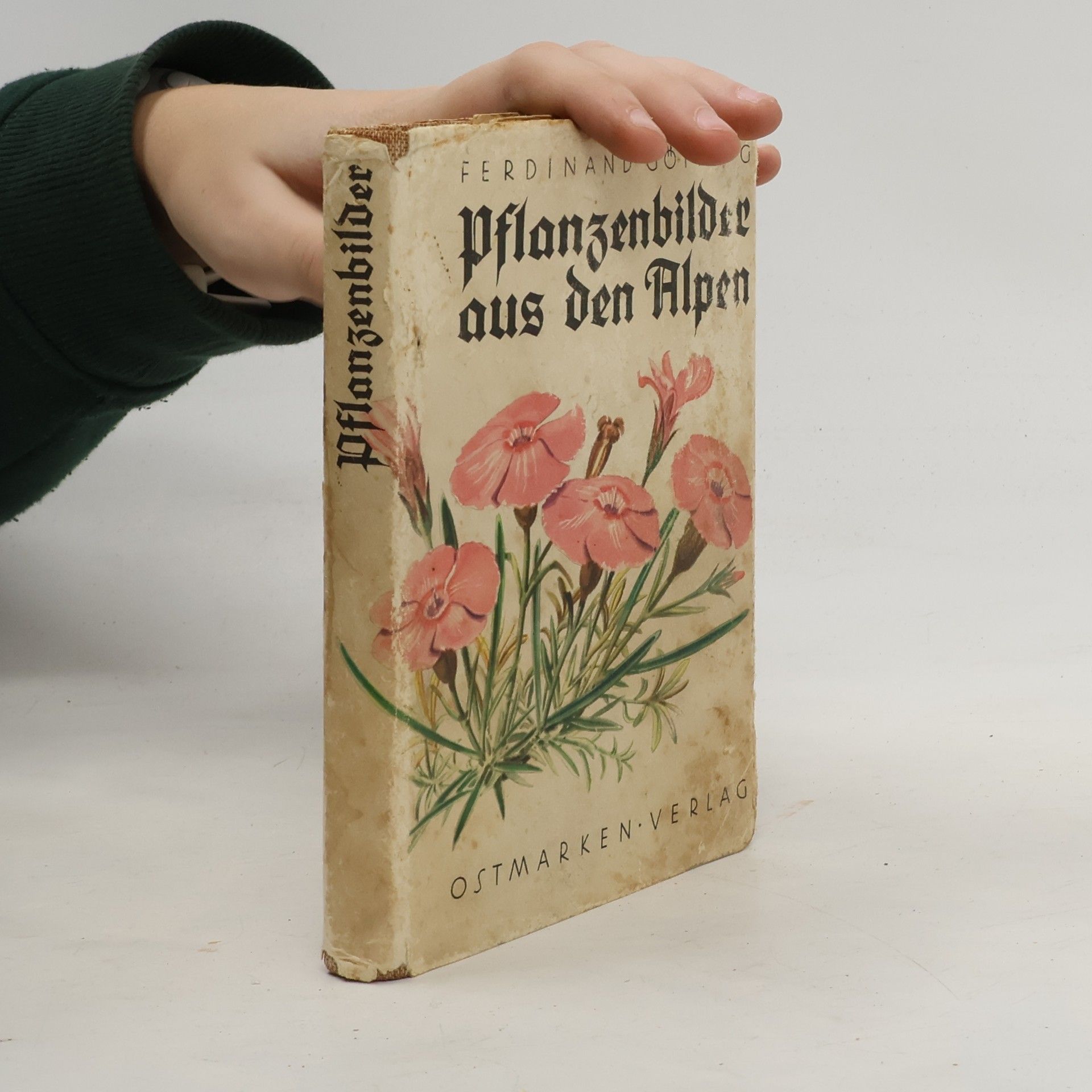 Ferdinand Götting Pflanzenbilder aus den Alpen