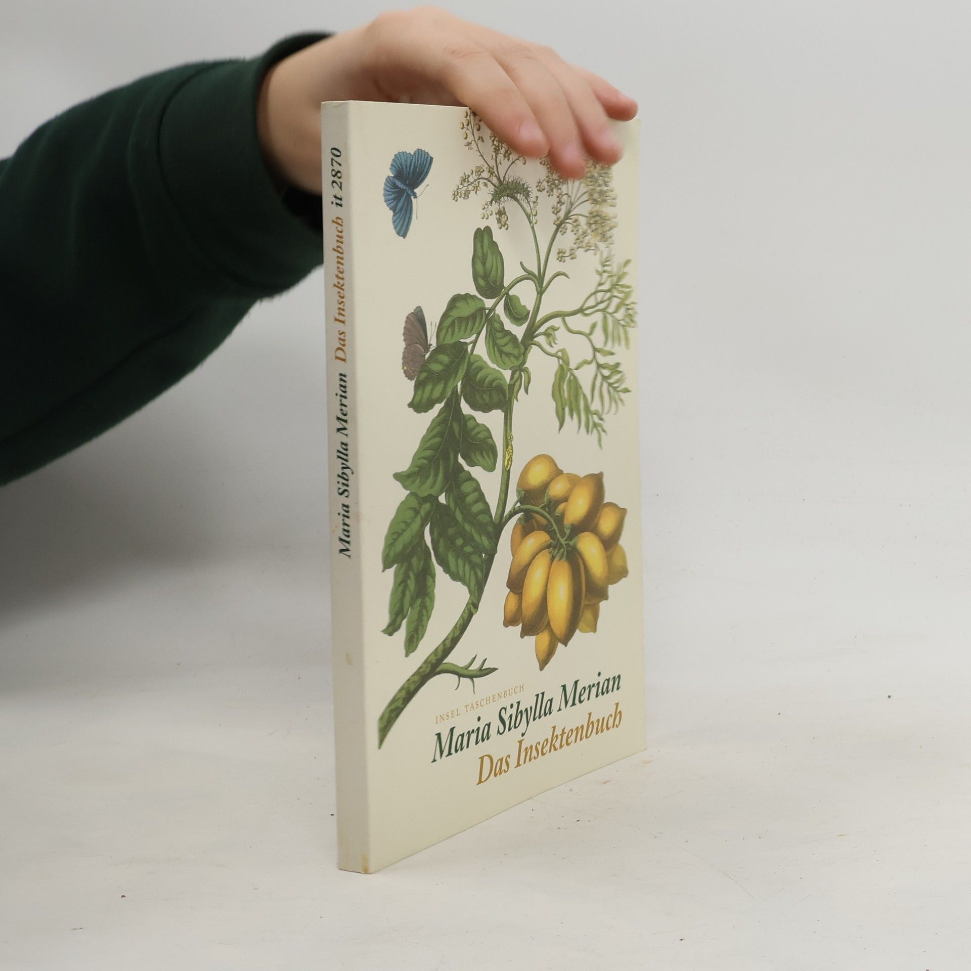 Maria Sibylla Merian Das Insektenbuch