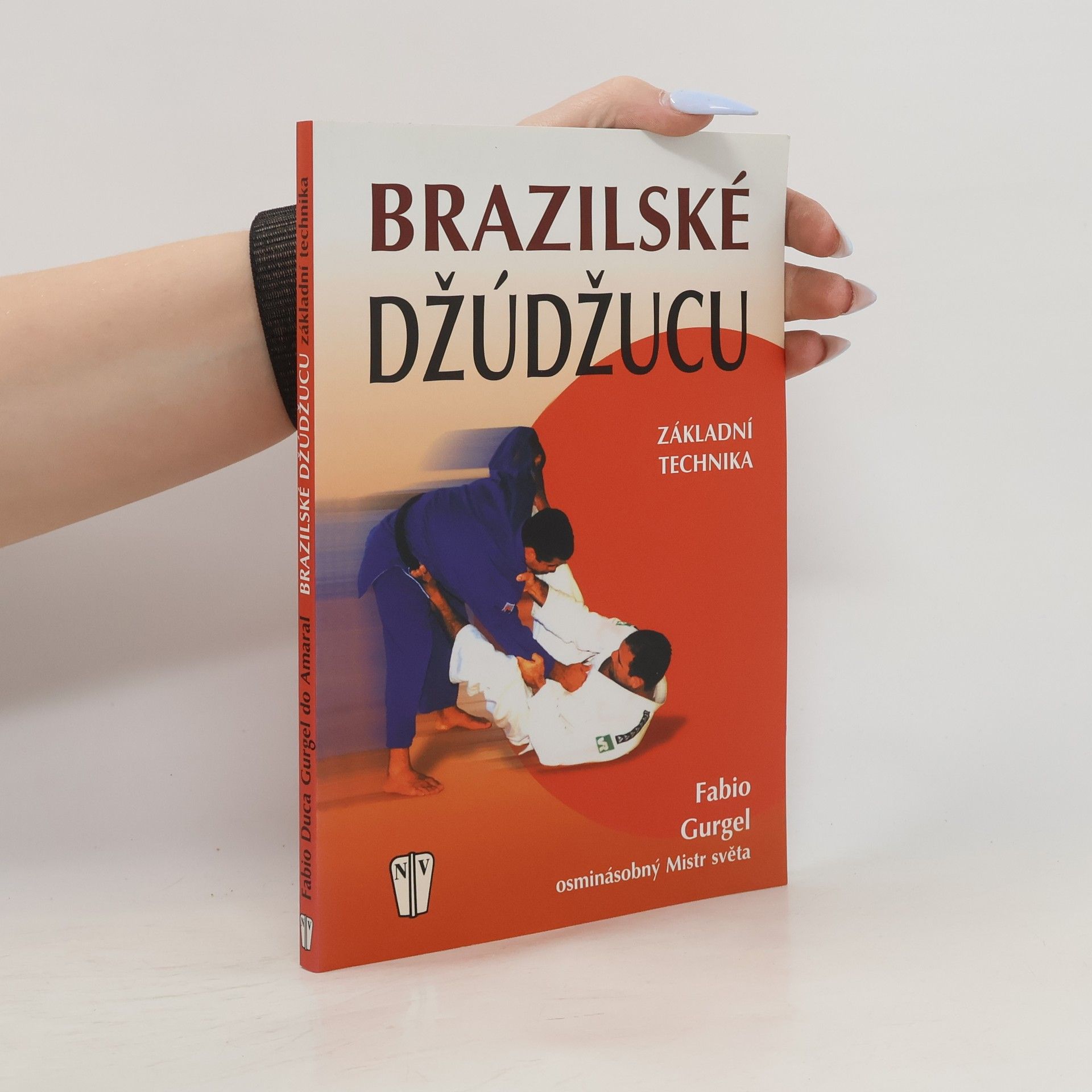 Brazilské džúdžucu: Základní technika