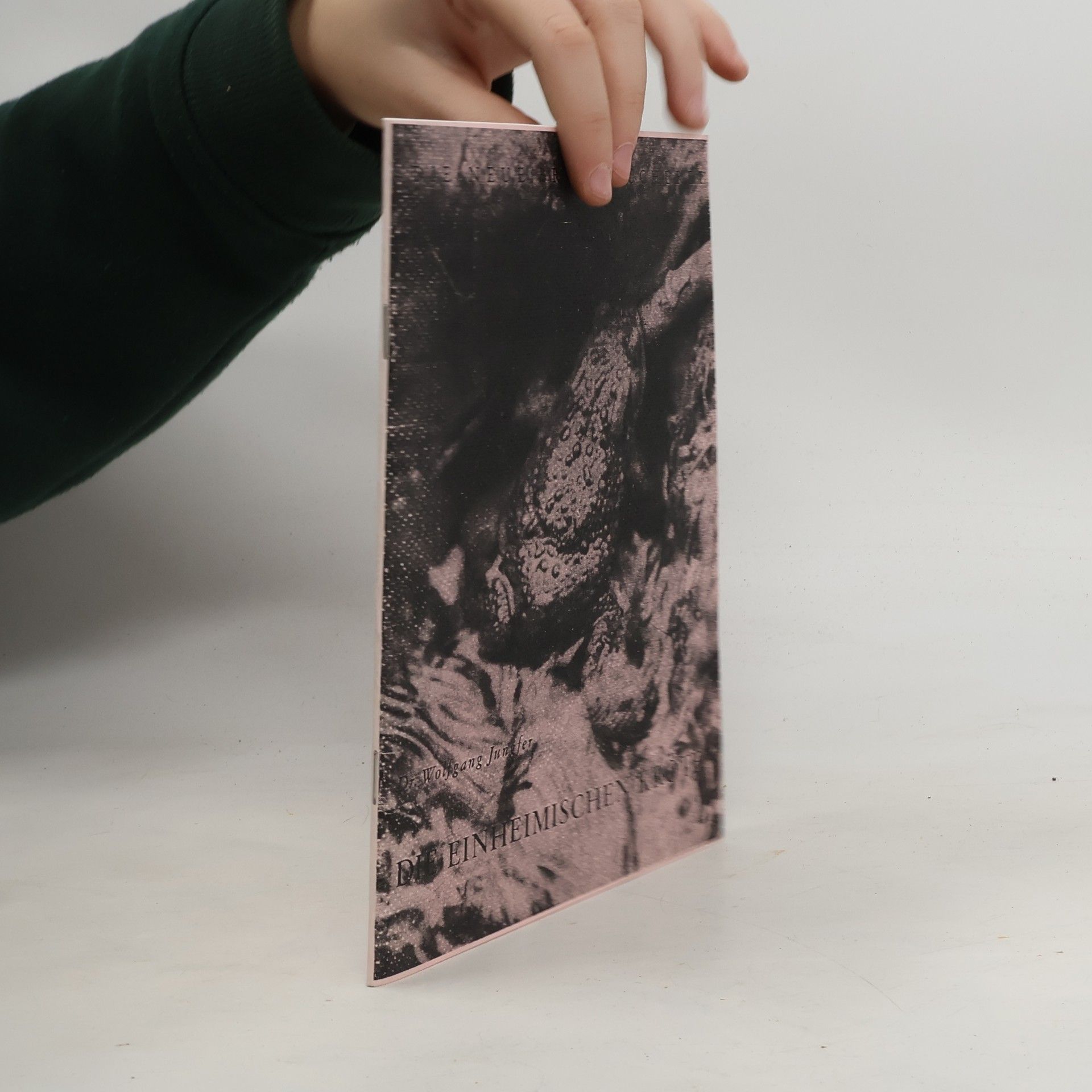 Wolfgang Jungfer Die einheimischen Kröten