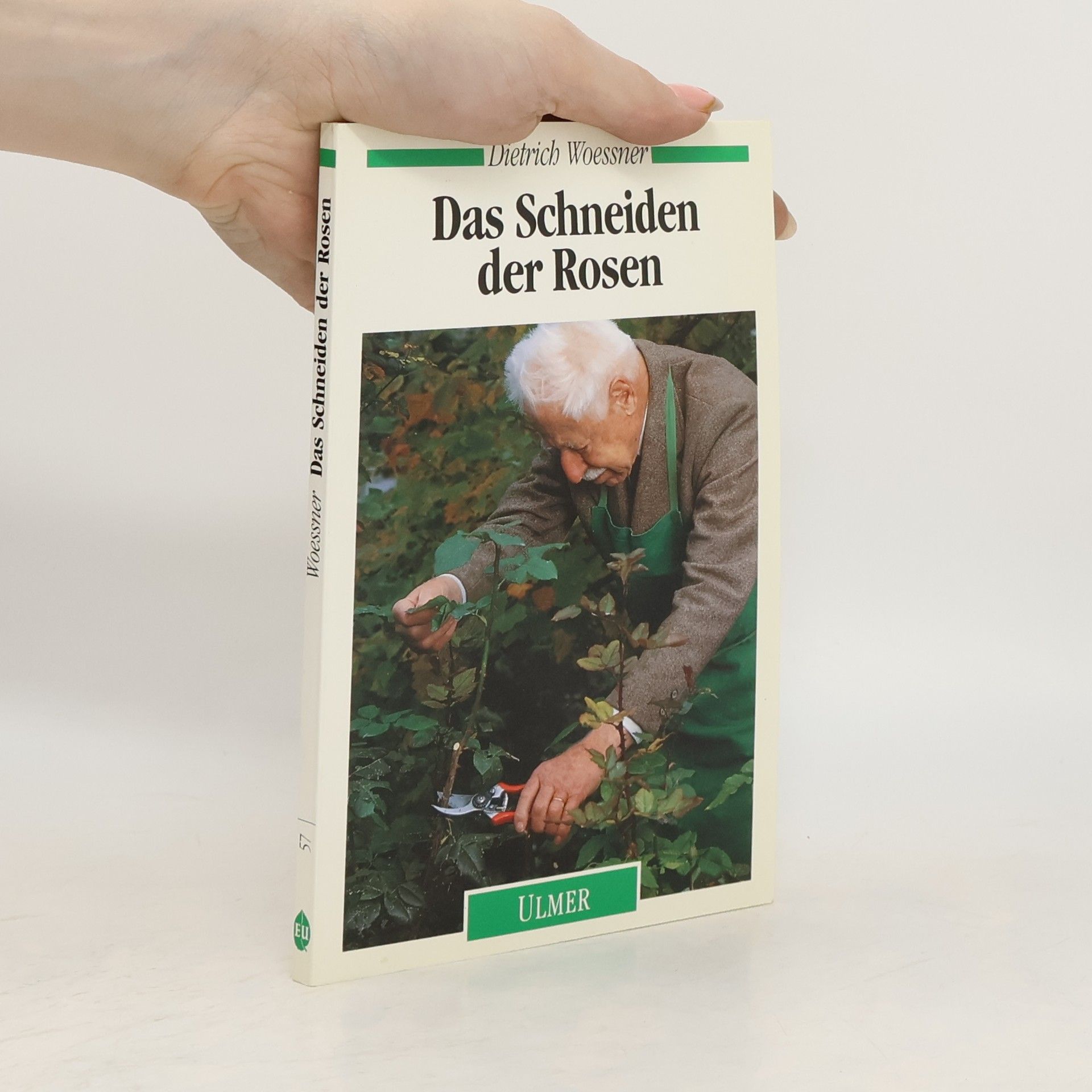 Das Schneiden der Rosen