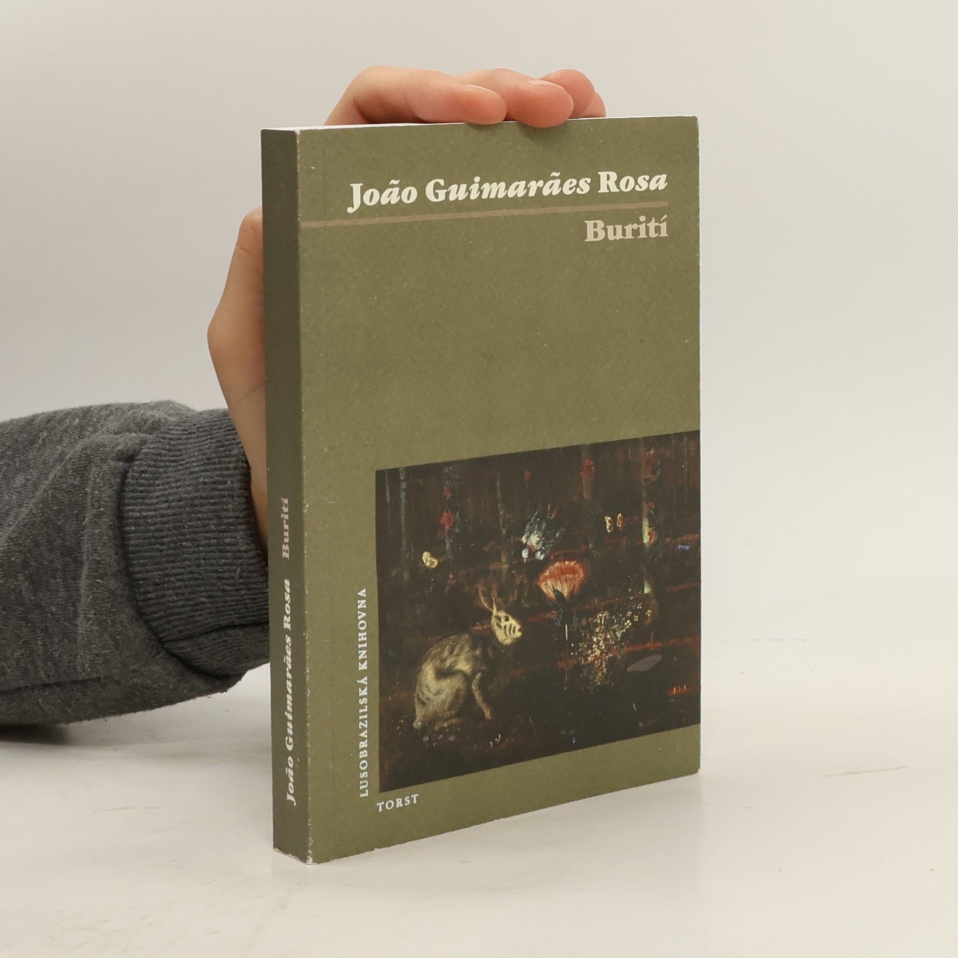 Guimarães Rosa Burití