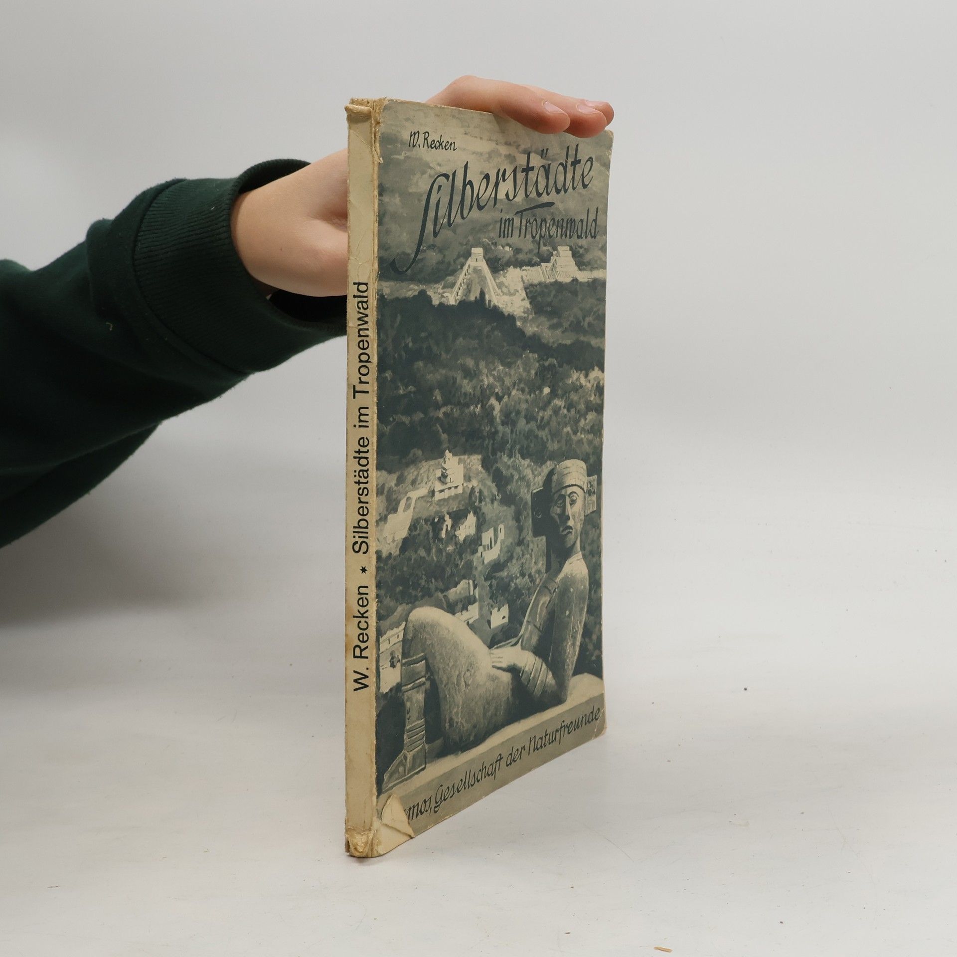 Silberstädte im Tropenwald