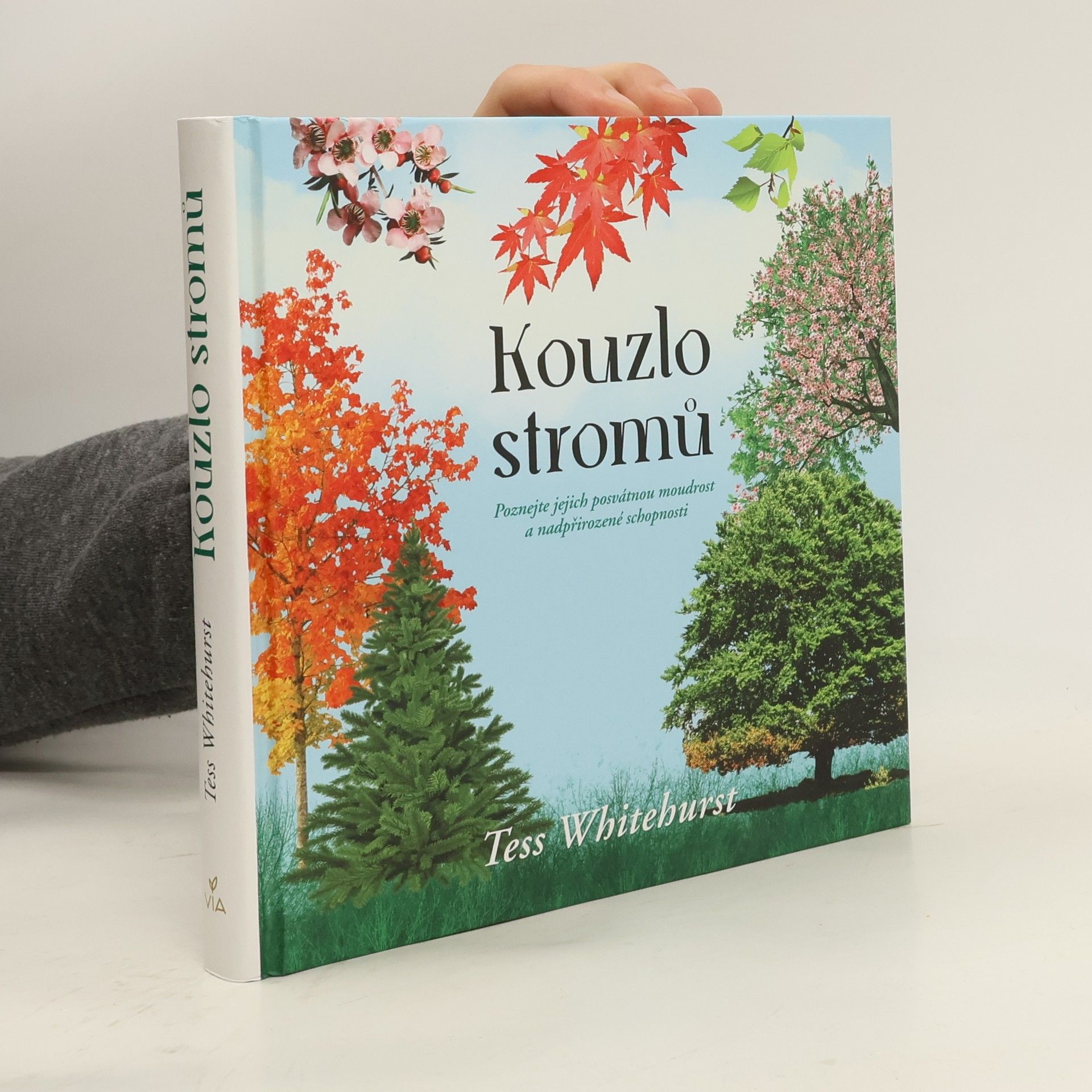 Kouzlo stromů : poznejte jejich posvátnou moudrost a nadpřirozené schopnosti