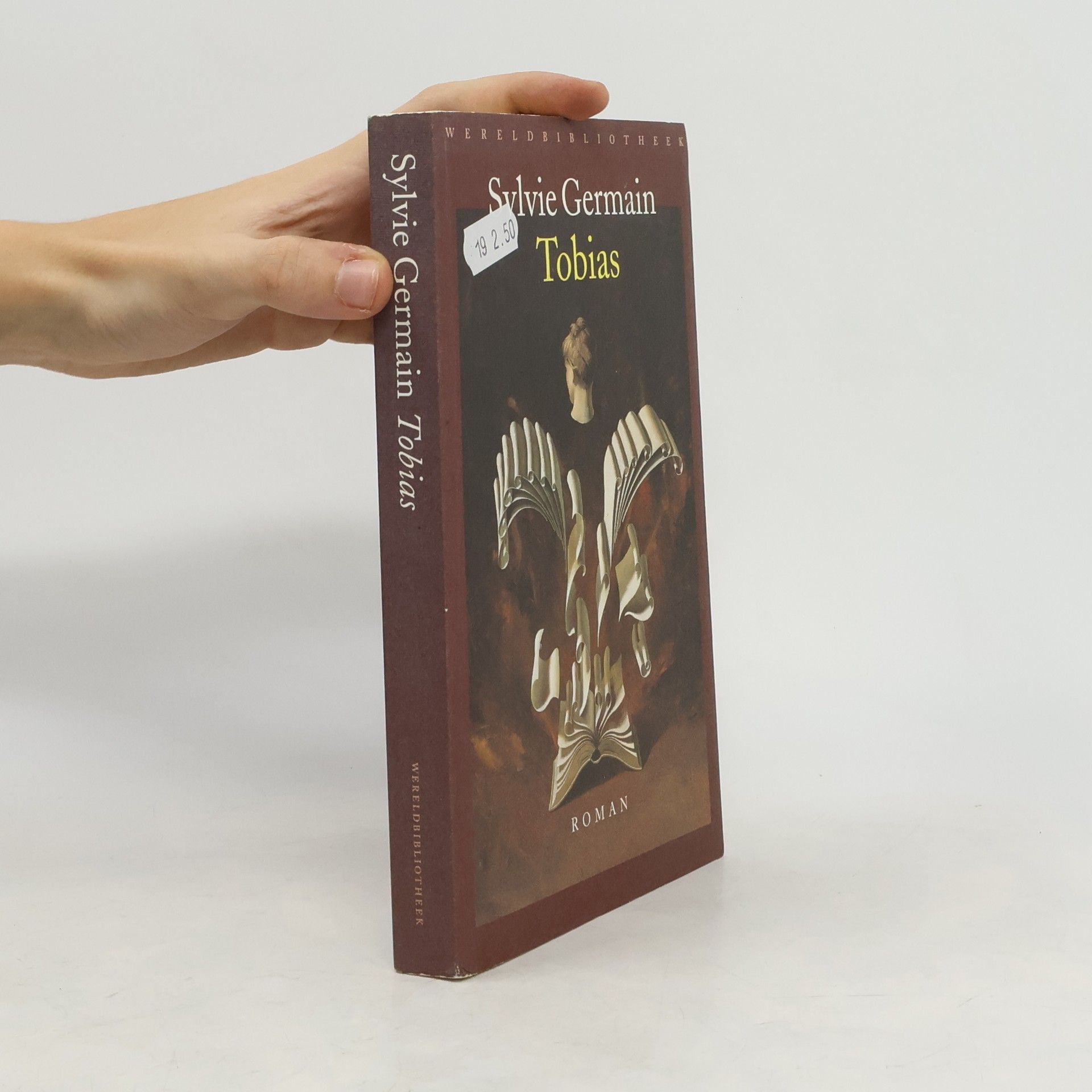 Sylvie Germain Tobias