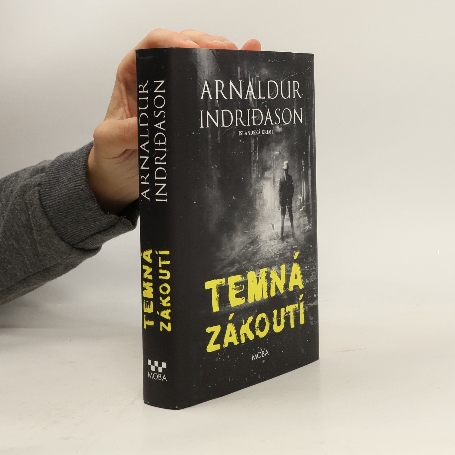 Arnaldur Indriðason Temná zákoutí