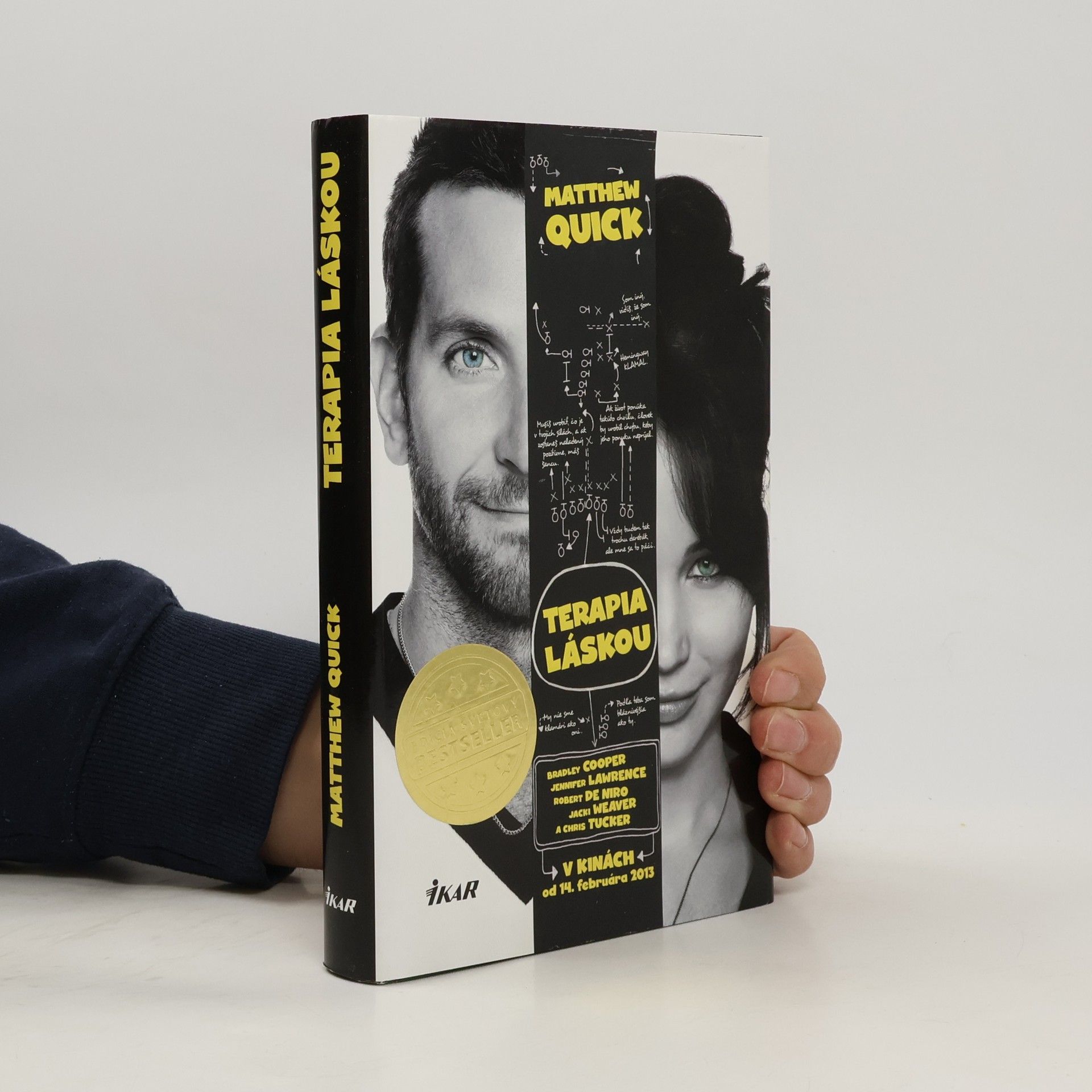 Matthew Quick Terapia láskou