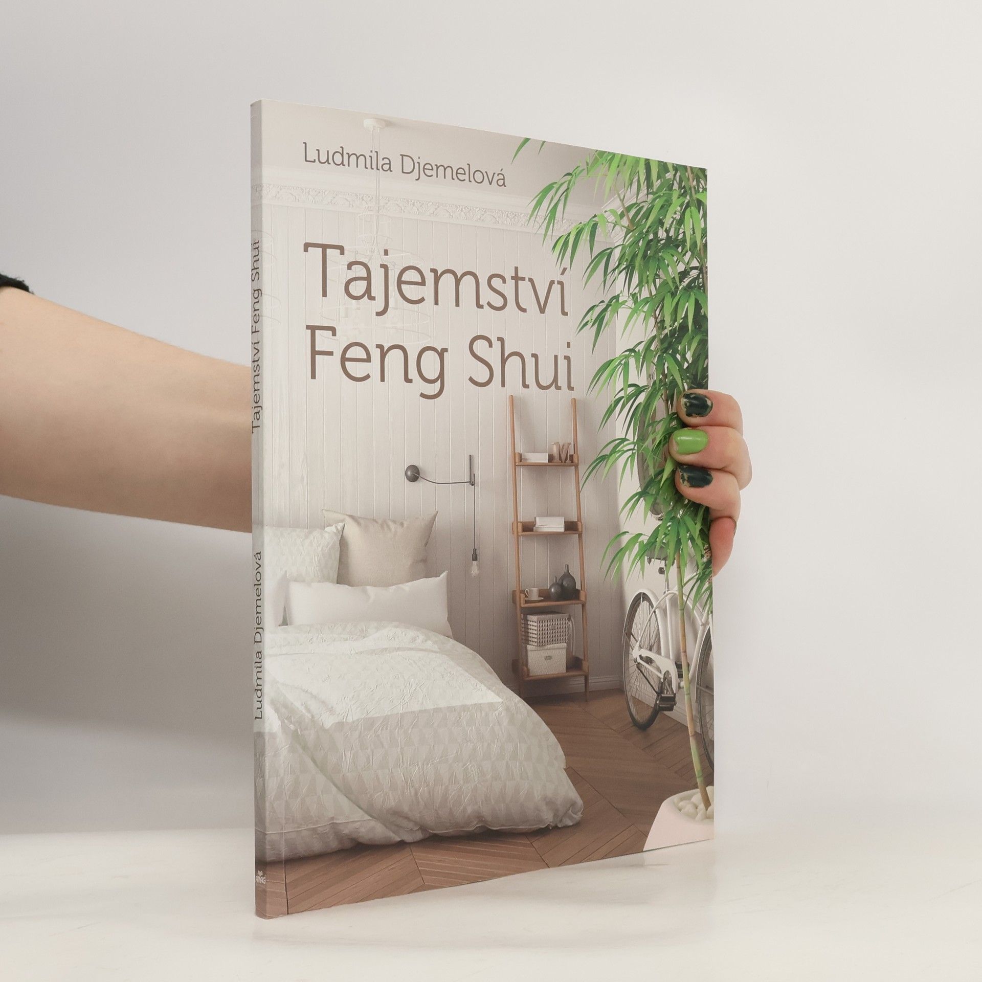 Tajemství Feng Shui
