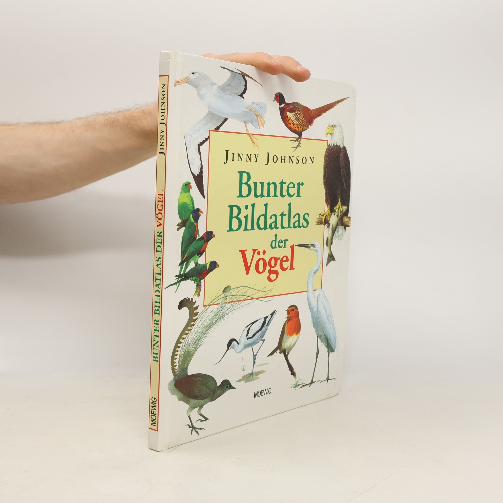 Jinny Johnson Bunter Bildatlas der Vögel