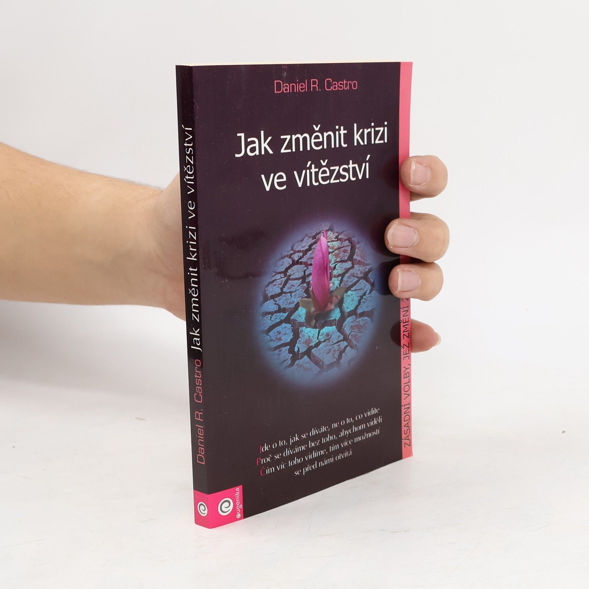 Daniel R. Castro Jak změnit krizi ve vítězství