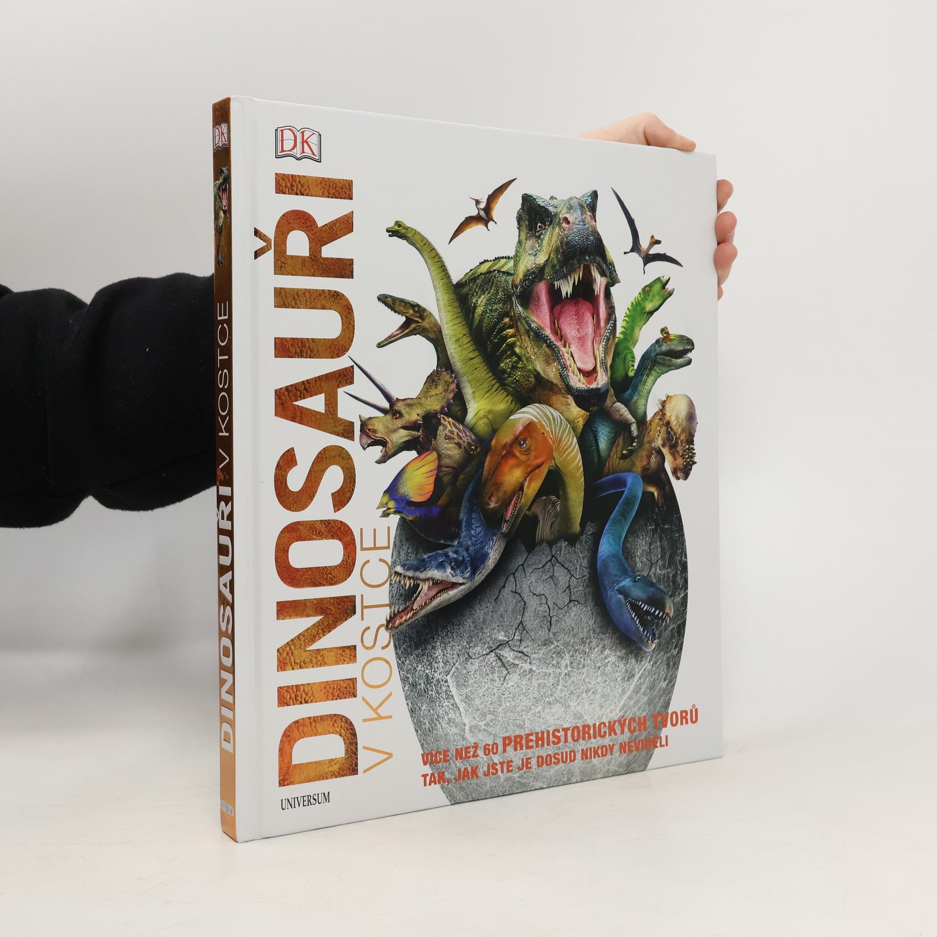 Kolektiv autorů Dinosauři v kostce