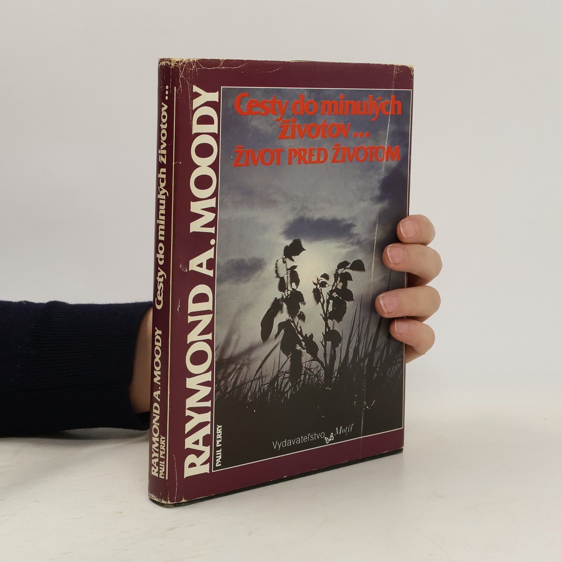 Cesty do minulých životov... Život pred životom