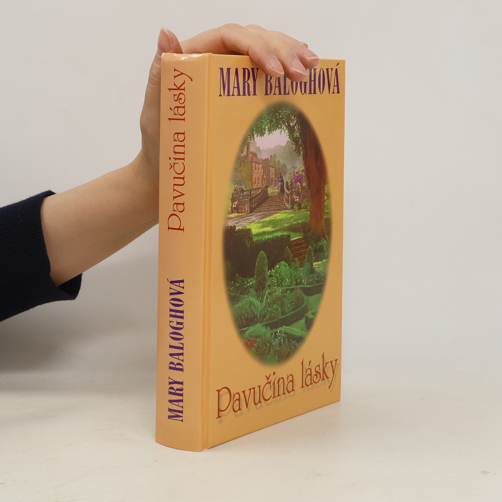 Mary Jenkins Pavučina lásky