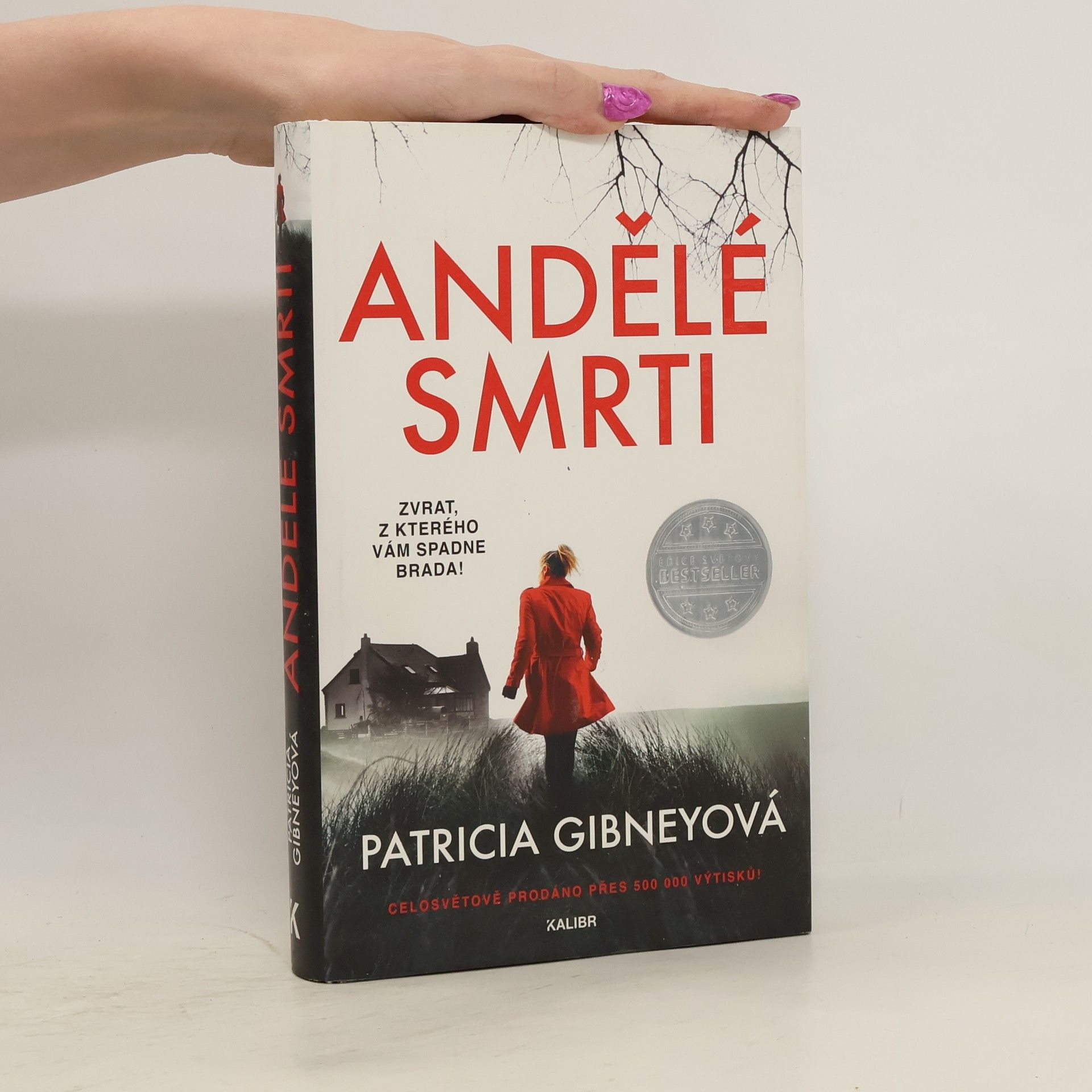 Patricia Gibney Andělé smrti