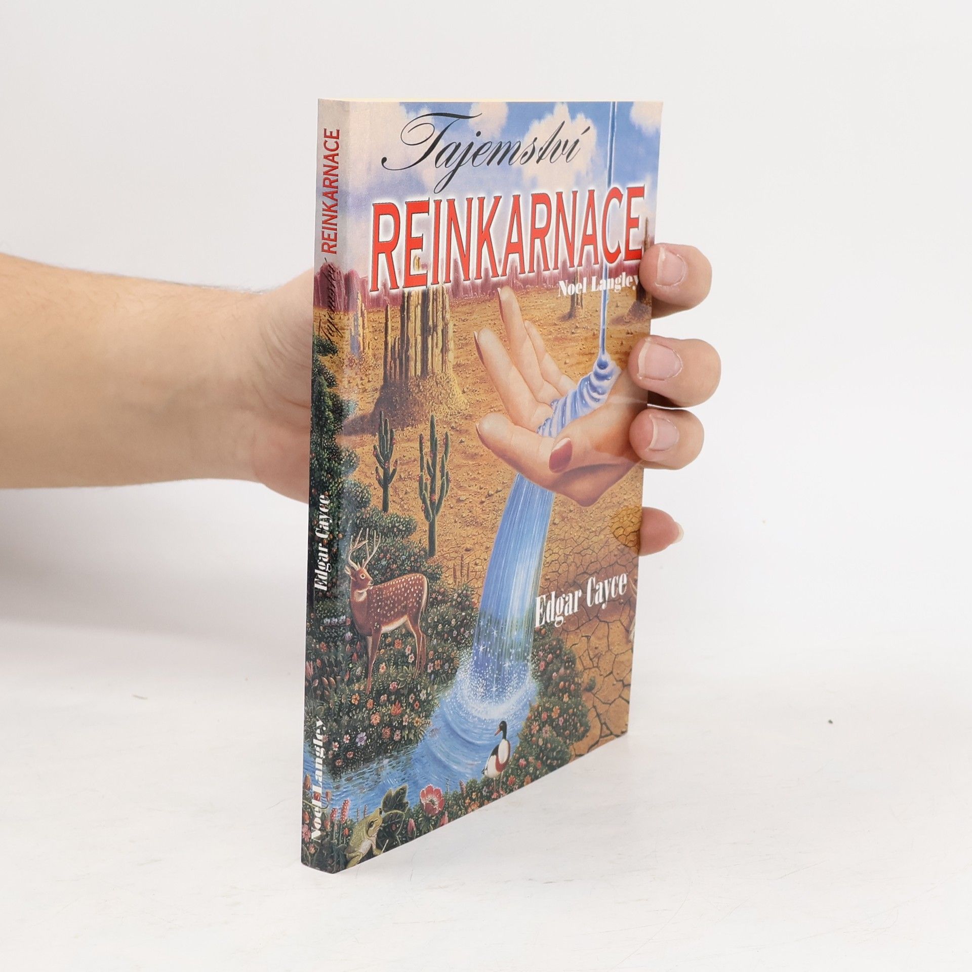 Tajemství reinkarnace