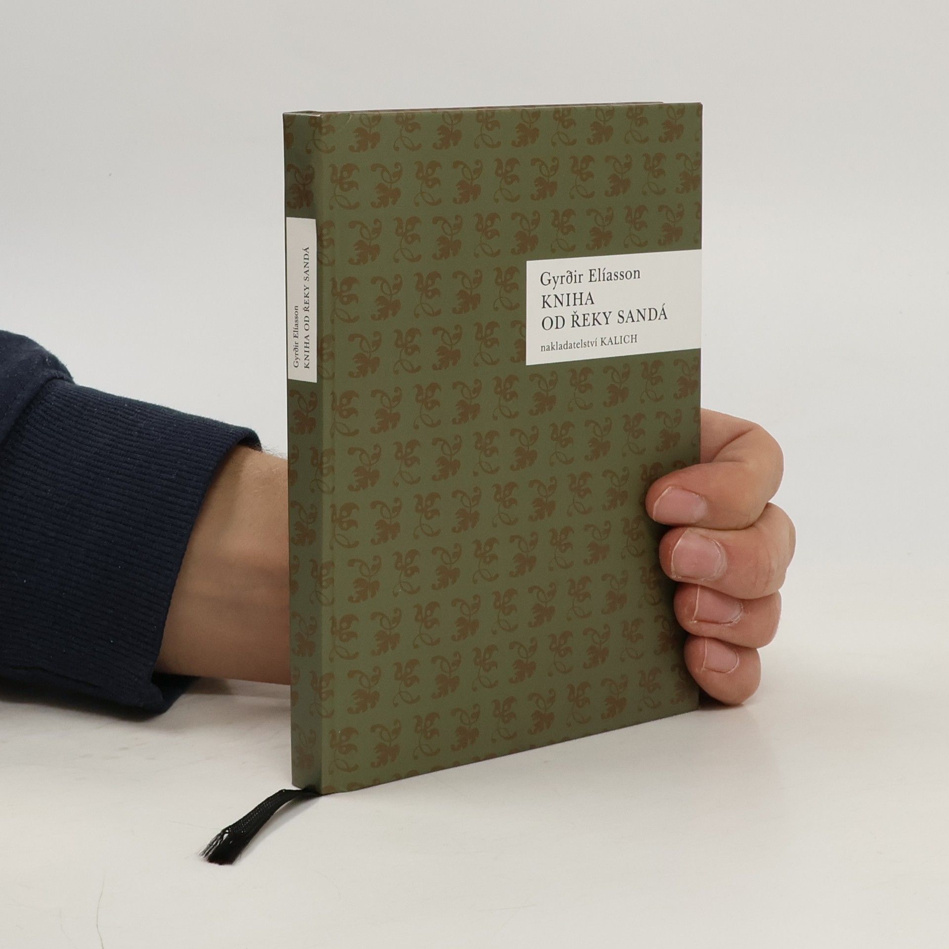 Gyrðir Elíasson Kniha od řeky Sandá